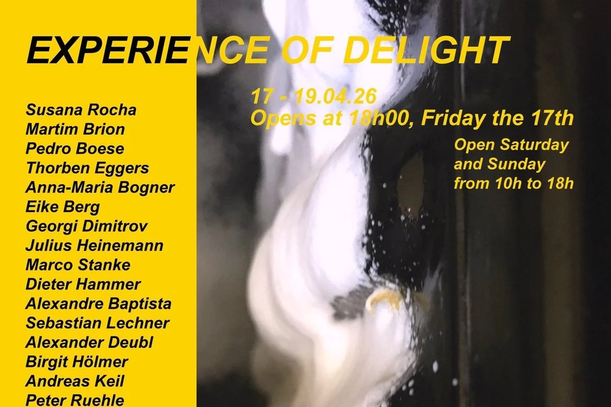 experience of delight
