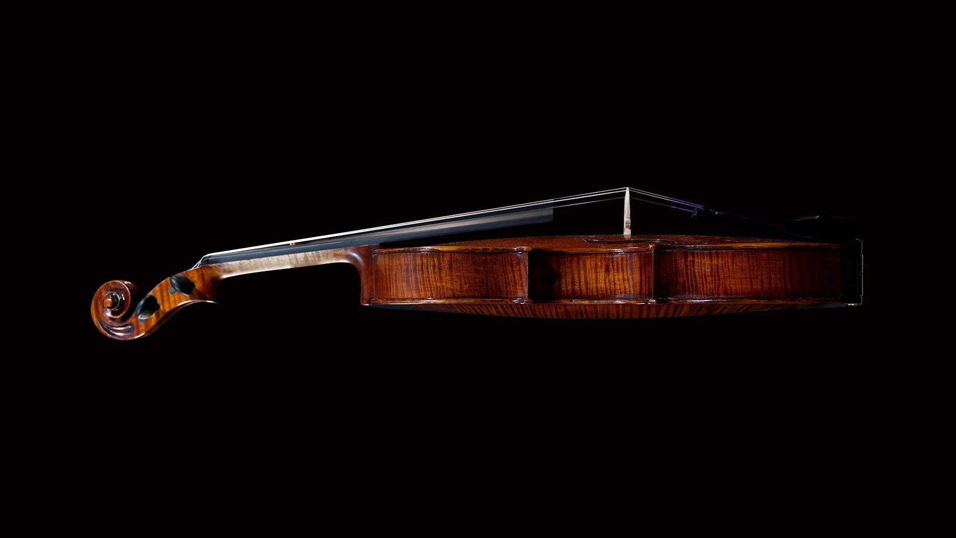 Gallery 3 — Ceile Kronick Concert & Instrument Photography