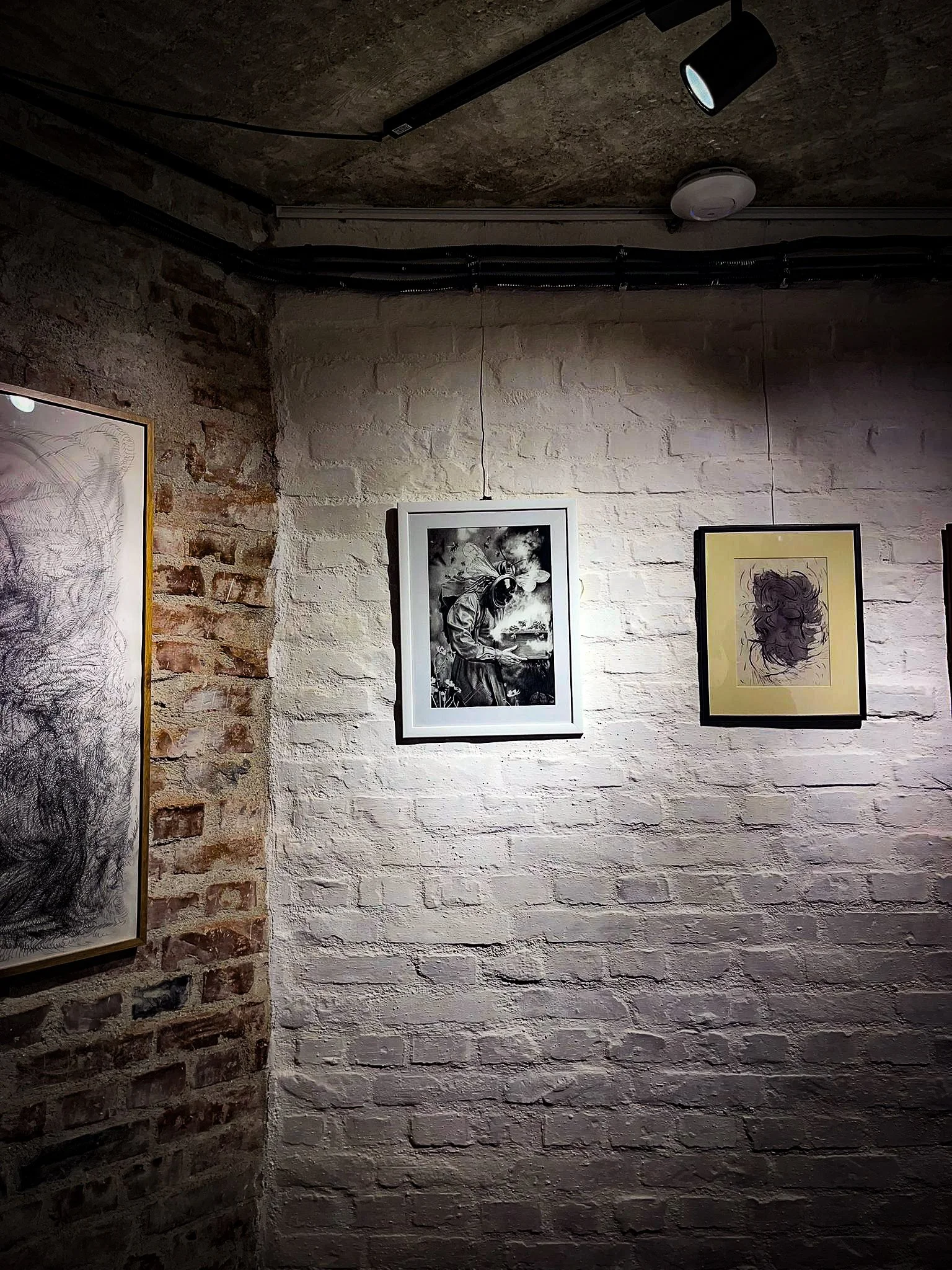 WhatsApp Image 2024-11-07 at 19.02.44_dd48d7a5.jpg