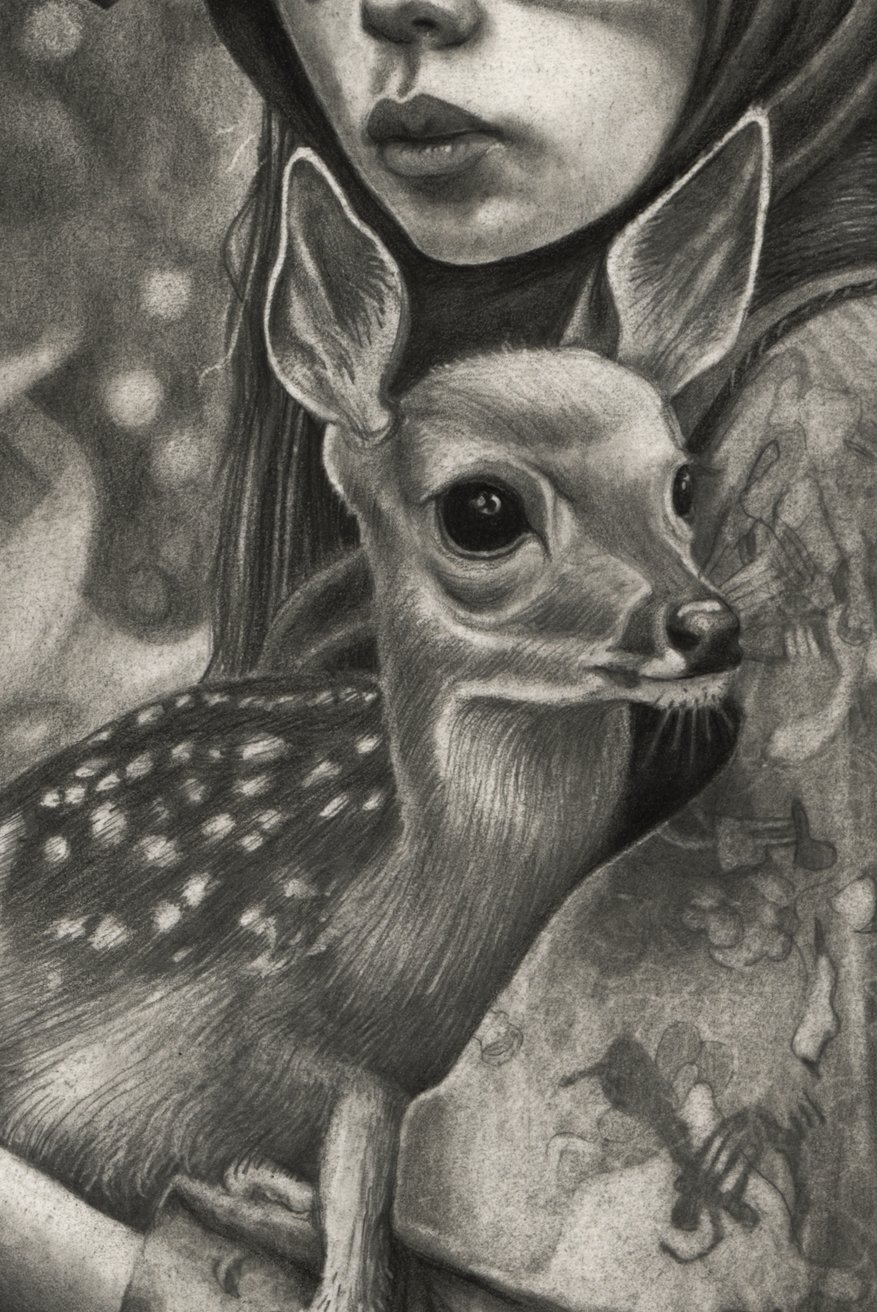 Antlers_web_03.jpg