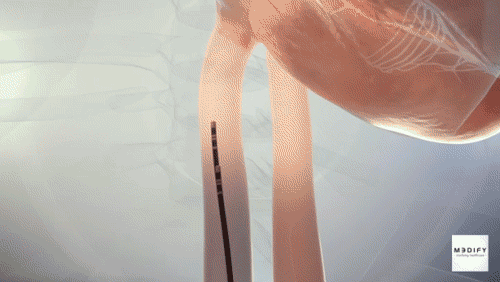 Medify - 3D Animation