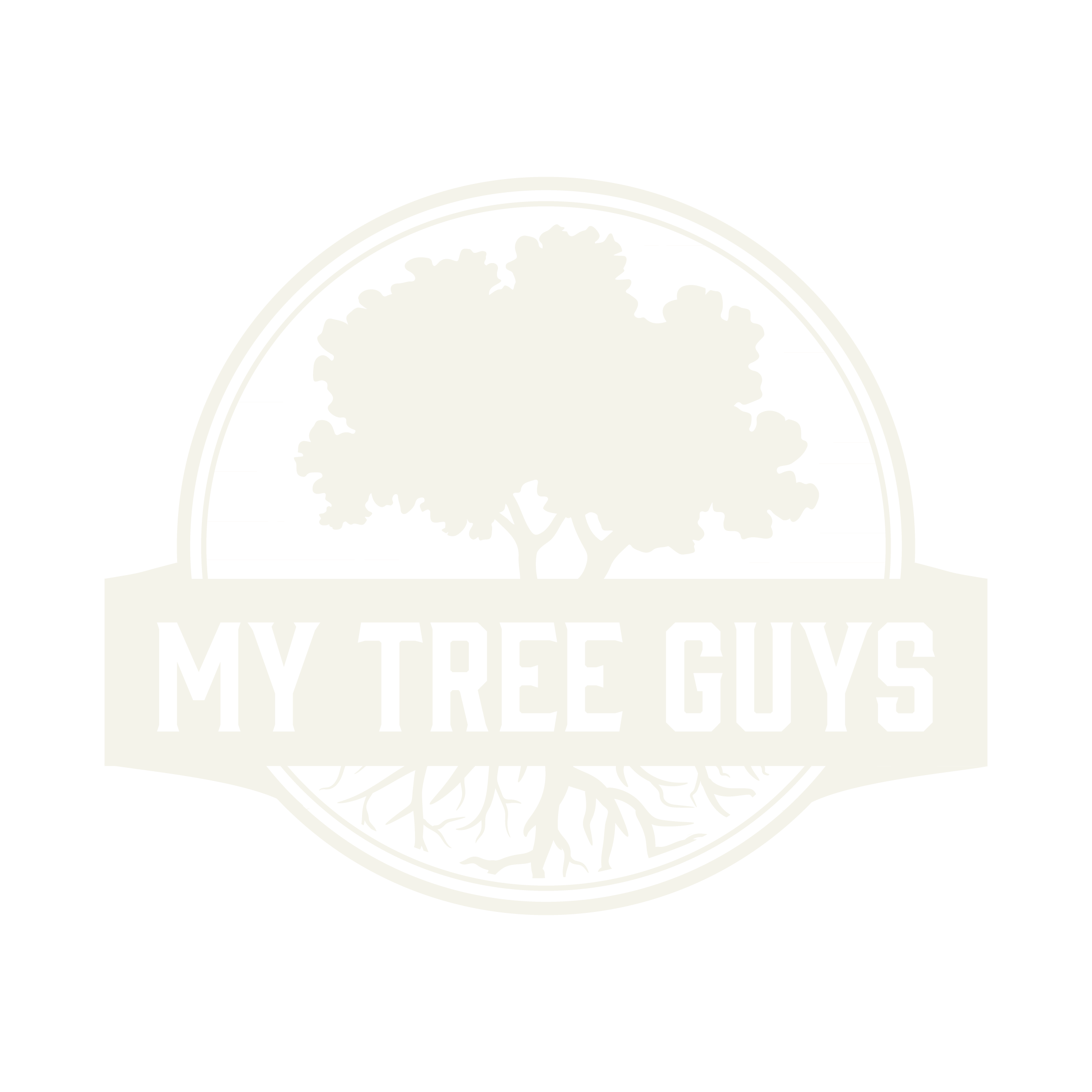 My Tree Guys, LLC gallery 4