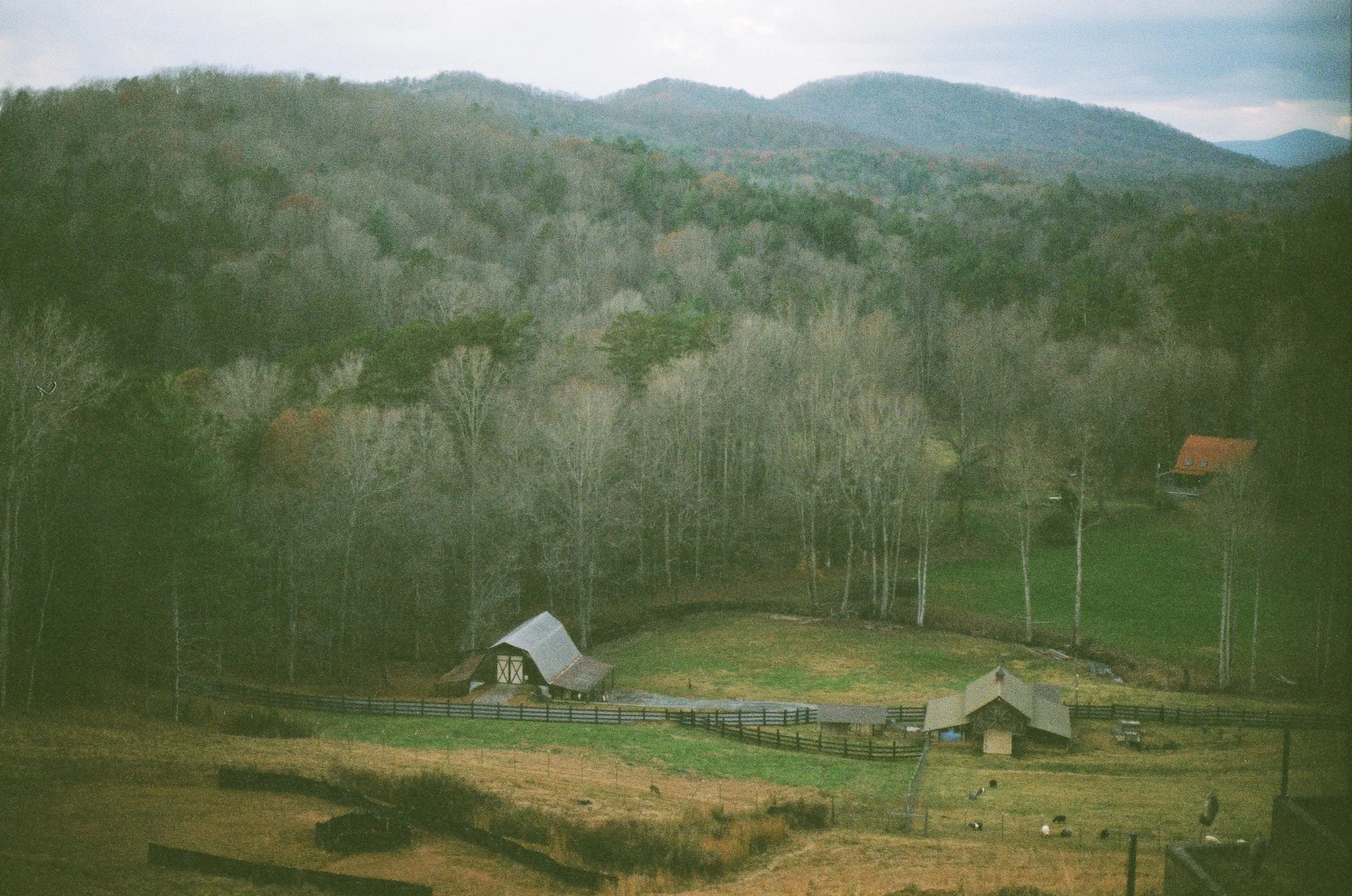 IMG_1573.JPG