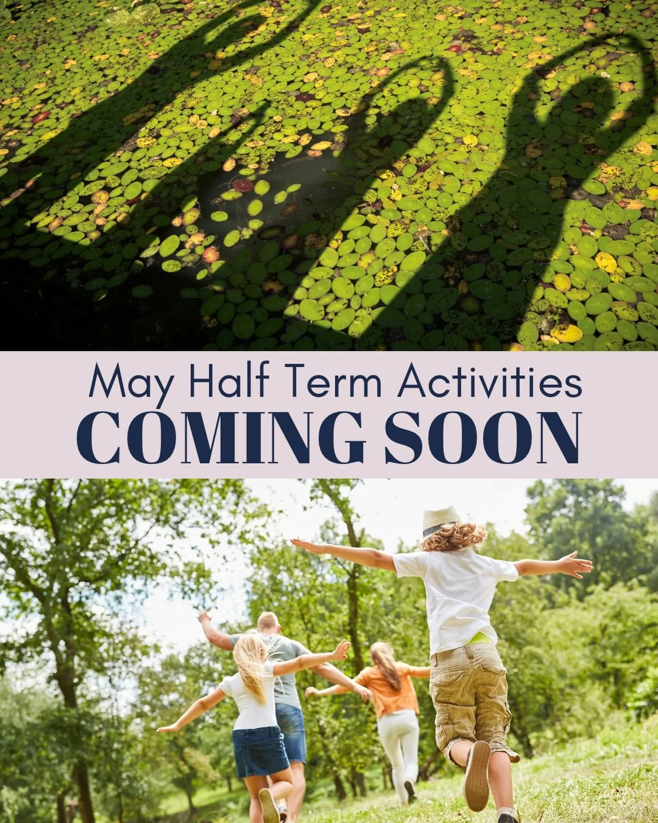 May Half-Term is just around the corner&hellip; honestly, I can&rsquo;t quite believe it! 

If you&rsquo;re starting to think about ways to keep the children entertained, Your Local Hub is currently being updated with lots of local half-term activiti