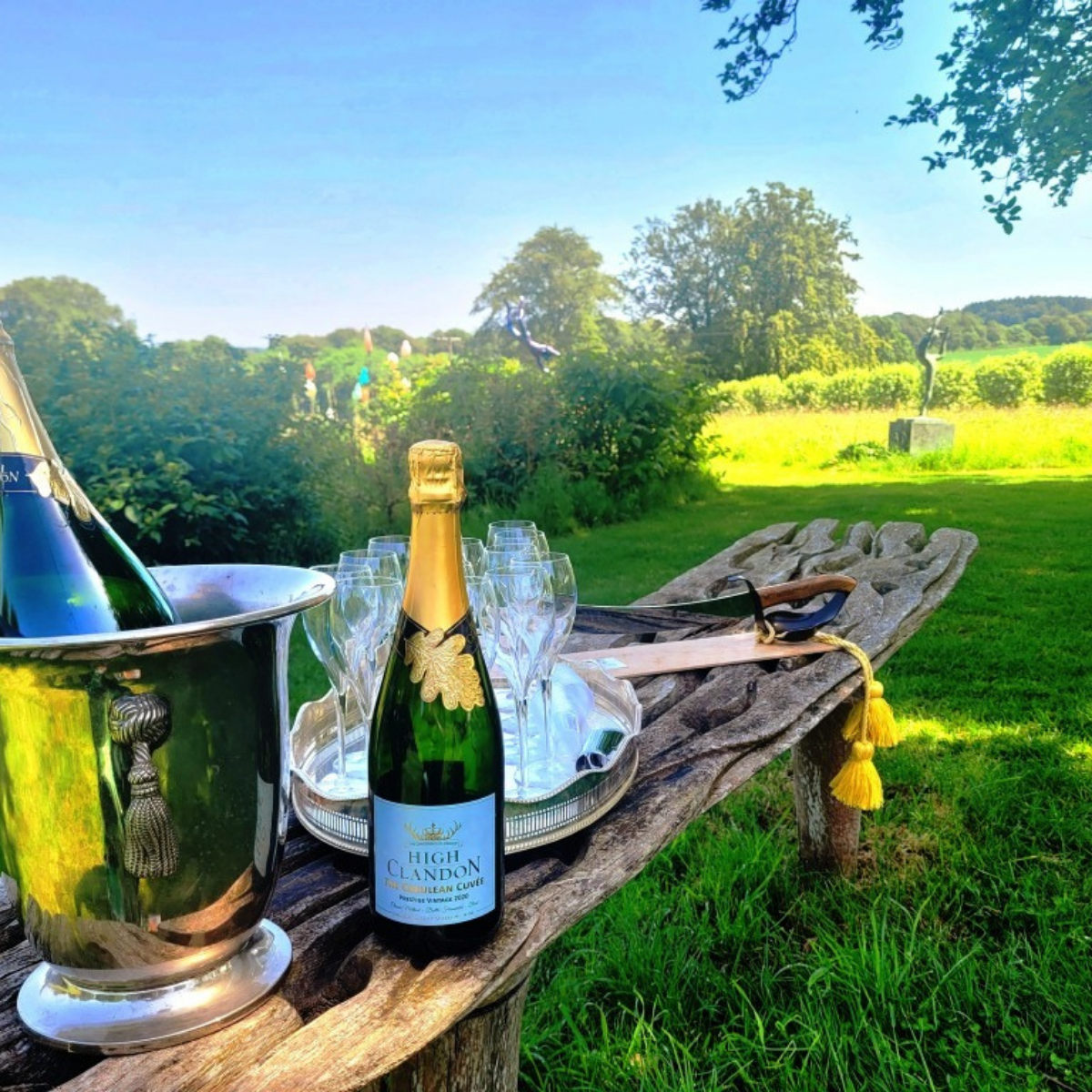 High Clandon Estate Vineyard 