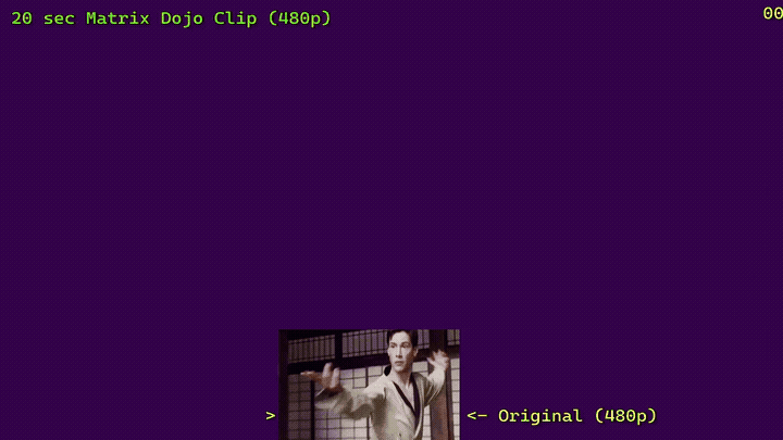 Validating Generative Video for Panoramic Cinema