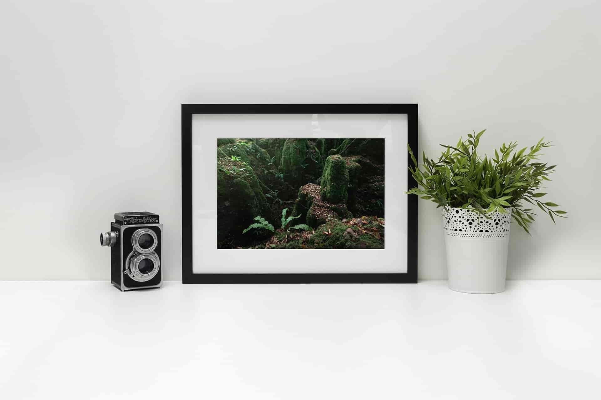 Puzzlewood framed-min.jpg