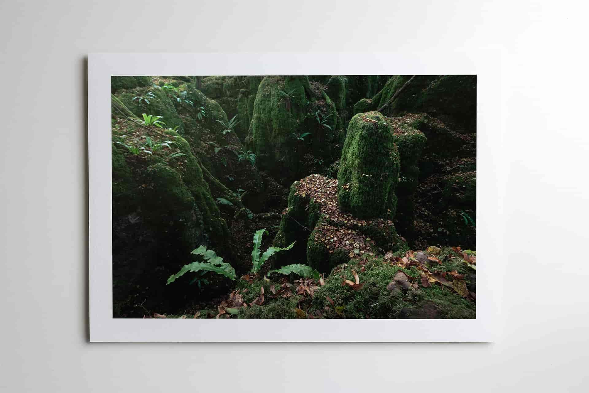 Puzzlewood print-min.jpg