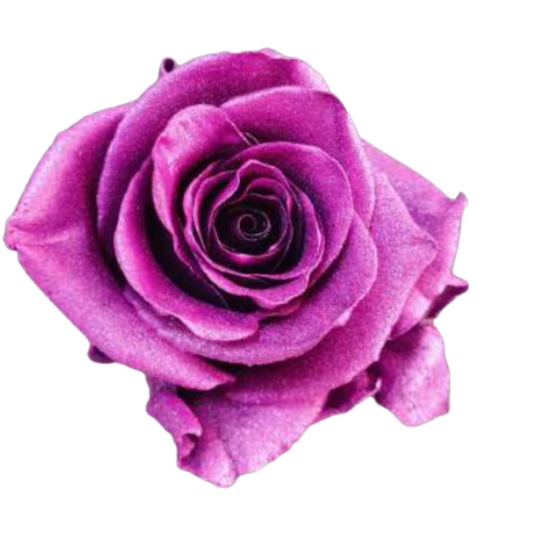 METALLIC PINK.png
