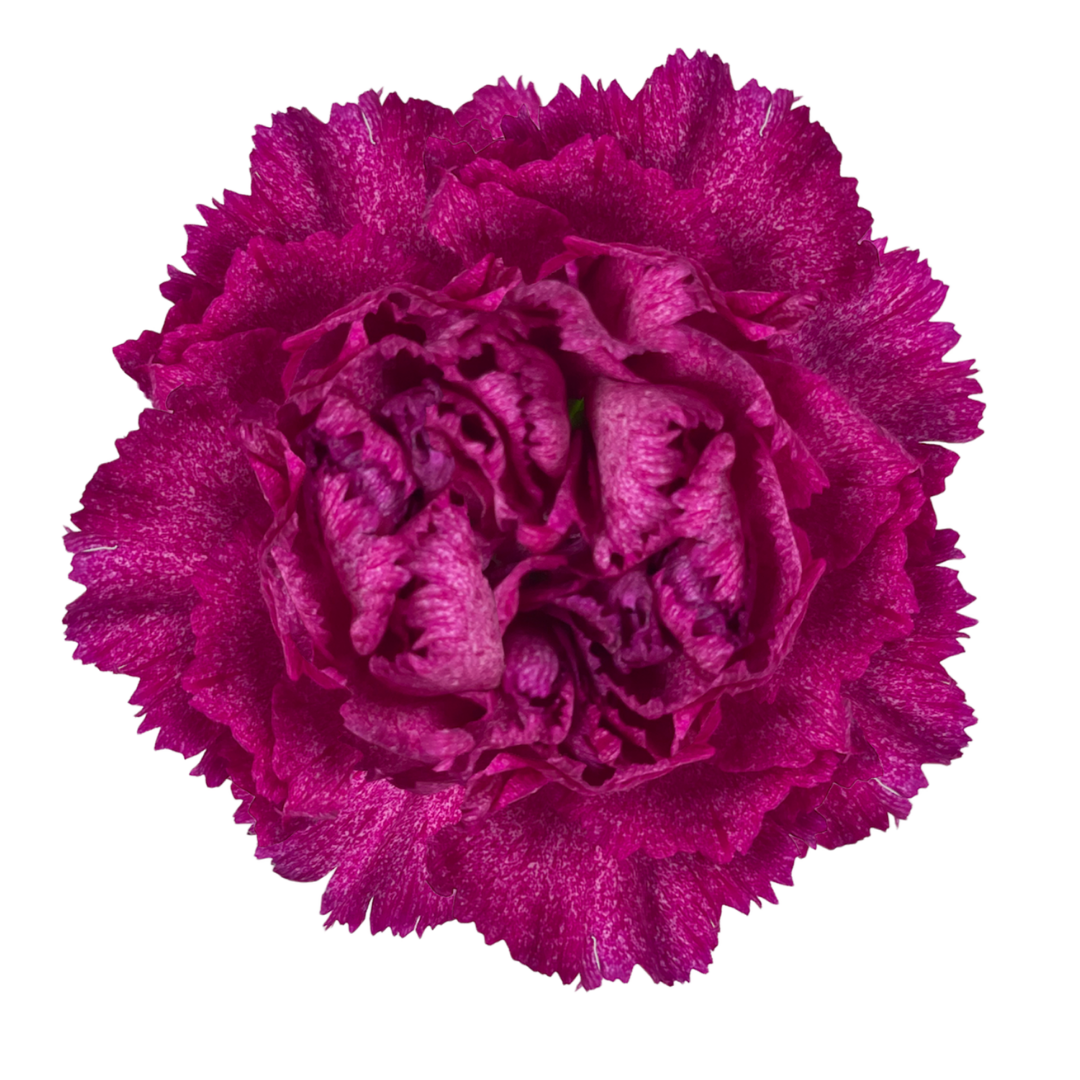 Violet Pixel.png