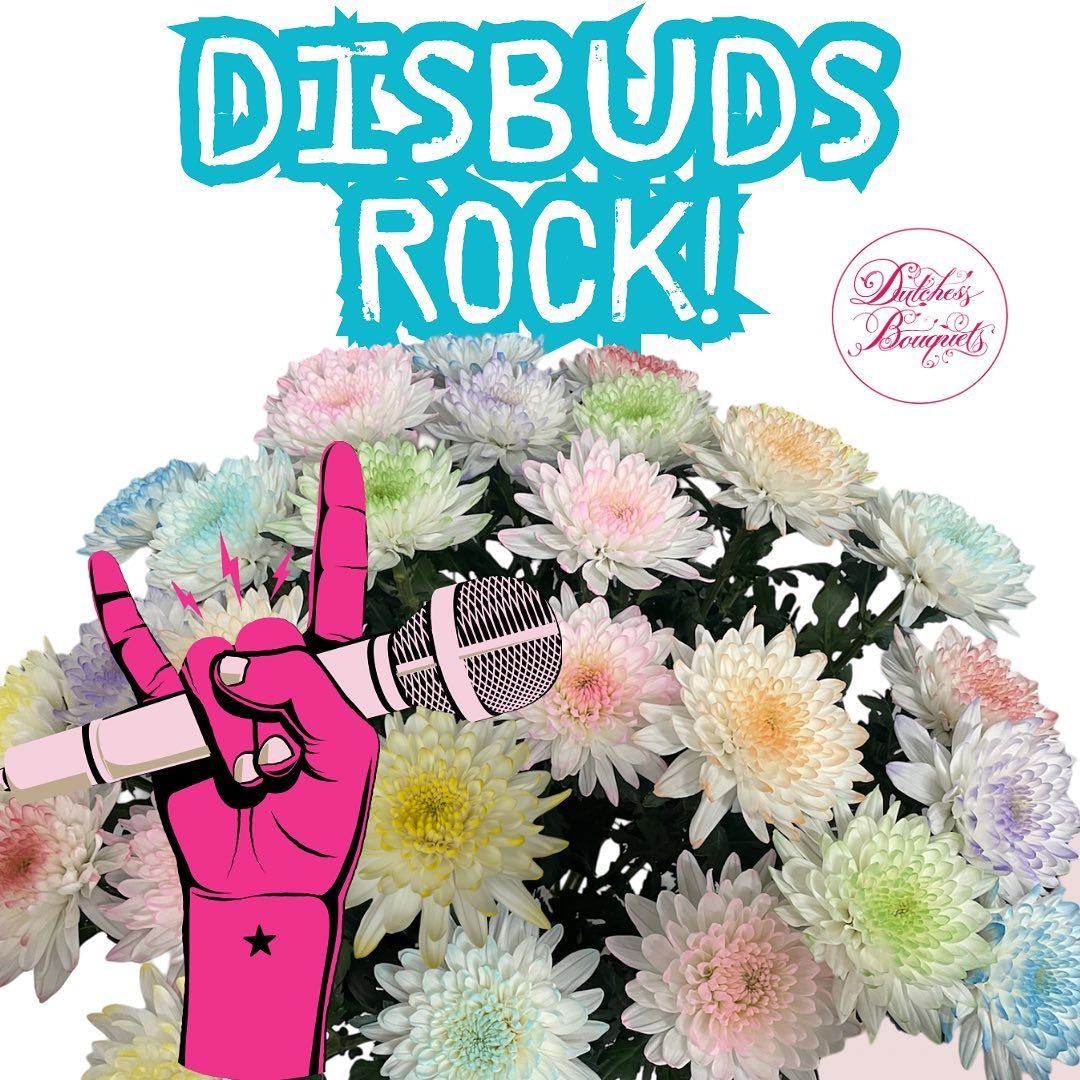 These Rockin Disbuds have us wanting to Rock Out! Mums are a Supermarket Superstar! With Innovations in breeding and color enhancements, these long lasting flowers can surely get the party started.
&bull;
&bull;
&bull;
&bull;
#disbuds #wholesaleflowe