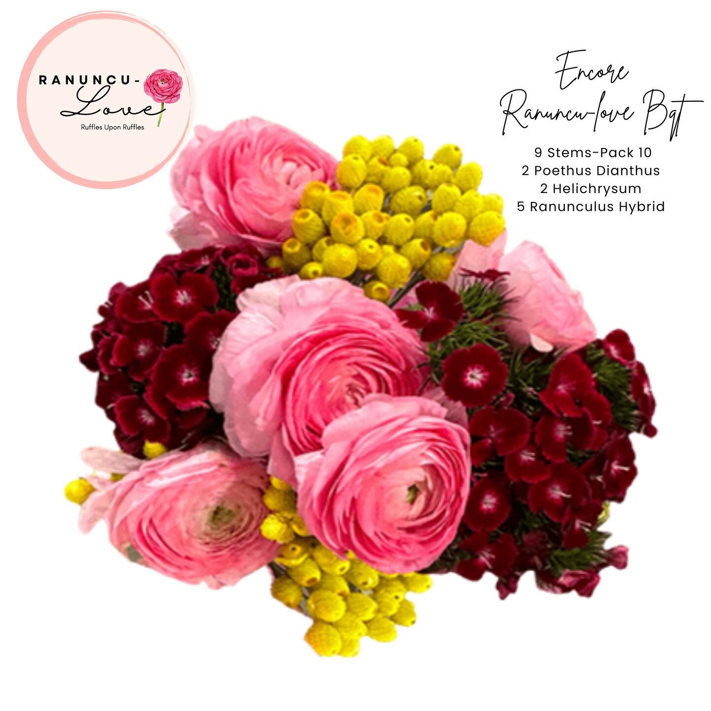 The New Ranuncu-Love Encore Bouquet
Introducing our stunning Ranuncu-Love Encore bouquet, showcasing our exclusive new
variety of Poethus Dianthus, complemented by beautiful filler and hybrid Italian-bred
ranunculus. If you&rsquo;re looking to experi