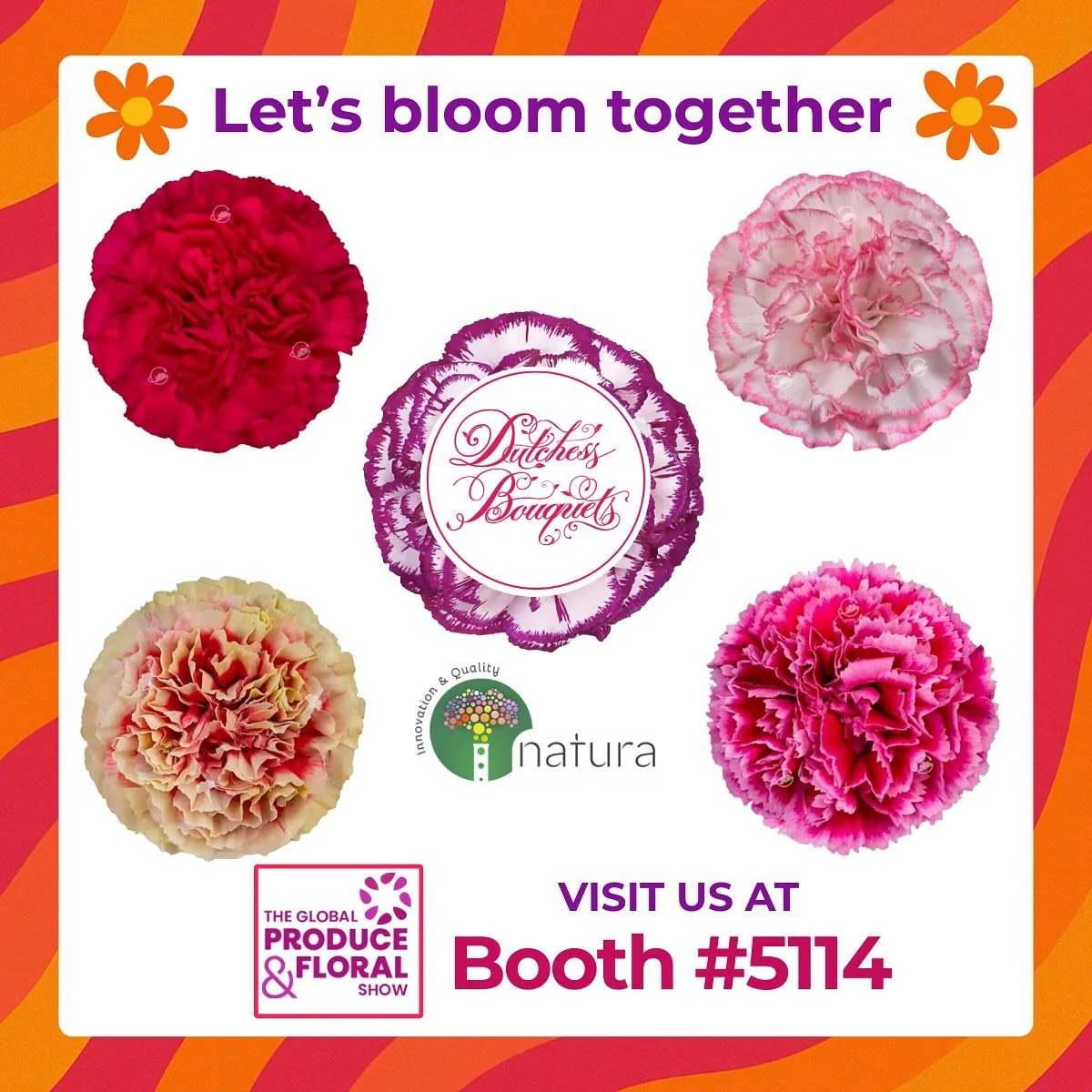 🌸✨ Just 16 days until we bloom in CALIFORNIA! ✨🌸
We&rsquo;re bringing the brightest, boldest Natura&reg; Breeders Dianthus to IFPA 🌿💐
Come see what makes our blooms a step above the rest 👀💖

📍 Booth #5114 &mdash; we&rsquo;ll be ready to bloom 