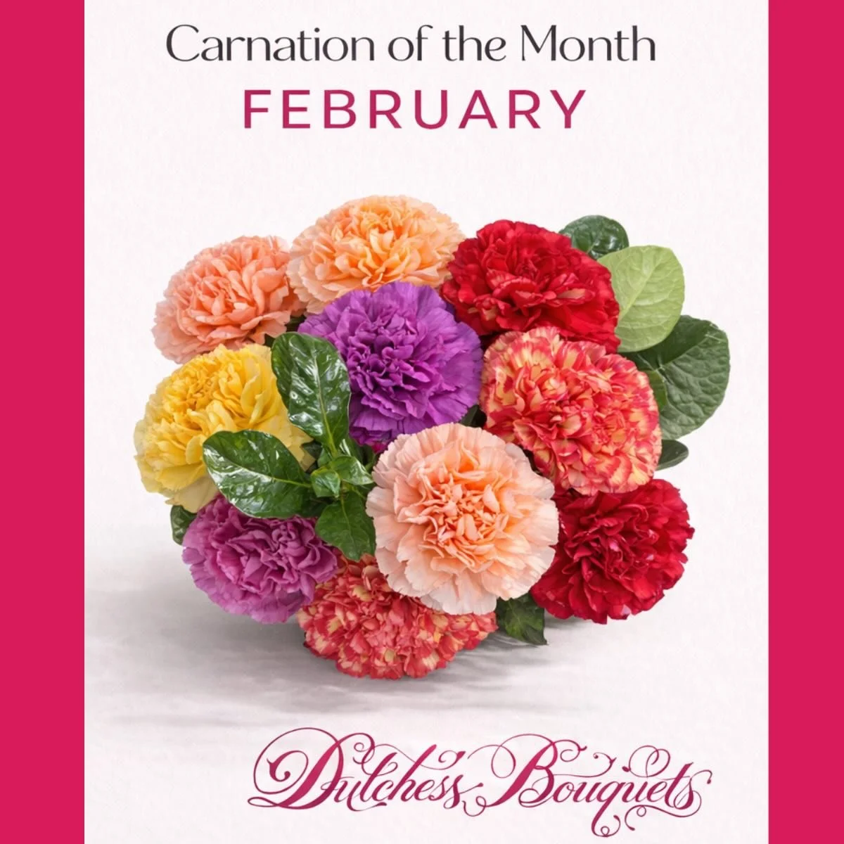 February leans into color. Rich jewel tones and warm romance give carnations a bold presence that moves effortlessly from everyday moments into Valentine&rsquo;s season.
&bull;
&bull;
&bull;
&bull;
#CarnationOfTheMonth #FebruaryFlowers #ModernRomance