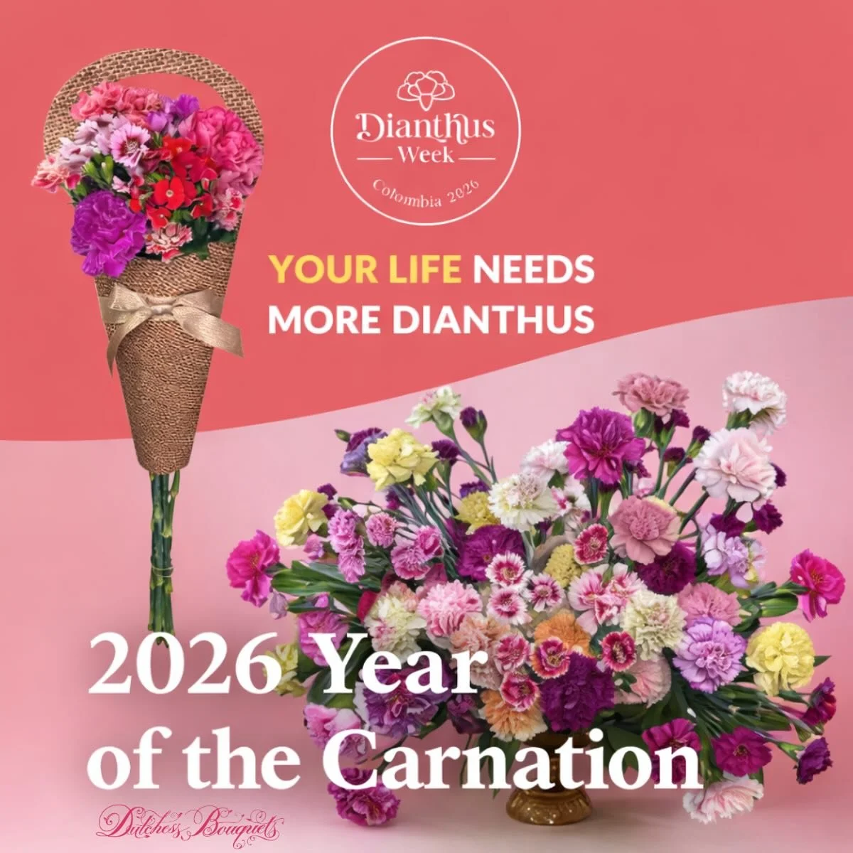Dianthus is having a moment &mdash; and we&rsquo;re here for it. 🌸
Dianthus Week kicks off March 9&ndash;13 in Colombia, bringing the global floral community together to celebrate one of the most versatile and innovative flowers in floriculture.
Fro