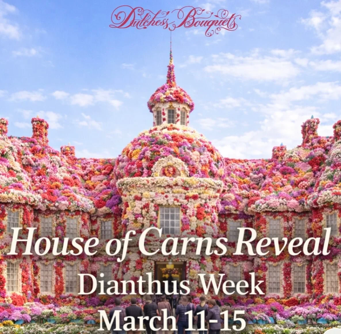 No, we don&rsquo;t actually have a chateau made of carnations&hellip; but Dianthus Week is just as big of a moment for our industry.
Through our exclusive breeder partnerships, we introduce an average of 30 new varieties to market each year&mdash;bri