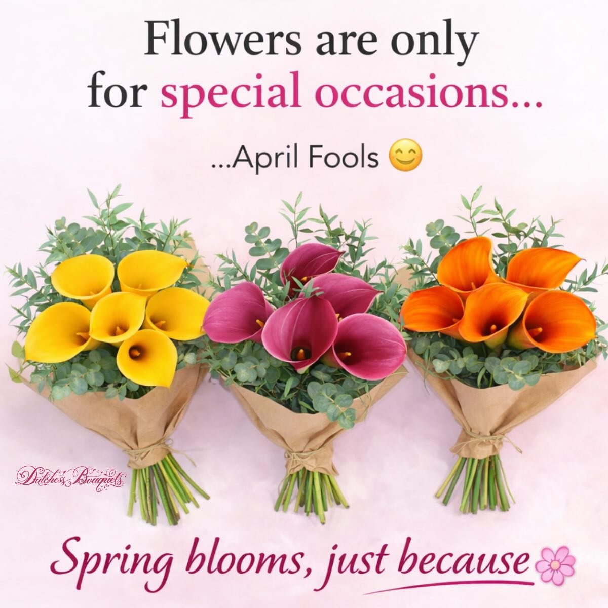 The best blooms are the ones you don&rsquo;t wait for 💐
Spring flowers, just because 🌸
.
.
.
.
#SpringFlowers #AprilFools #JustBecause #FlowerMood #DutchessBouquets