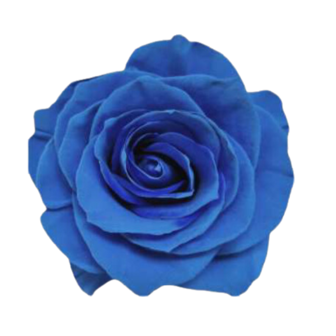 BLUE.png
