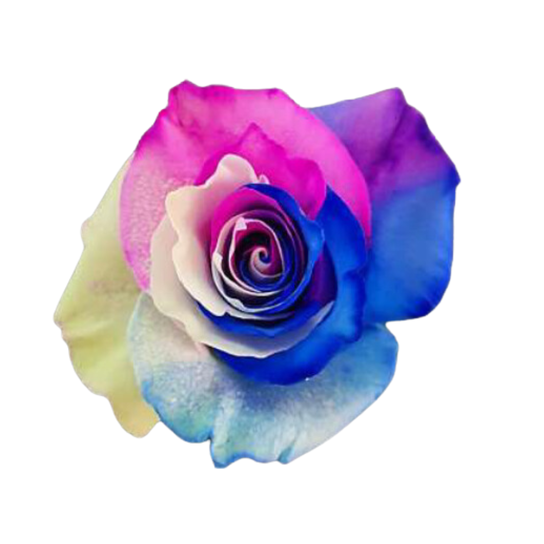 BLUE PINK WHITE.png