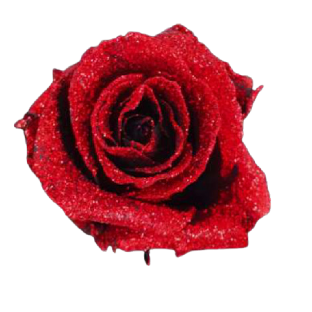 RED GLITTER.png