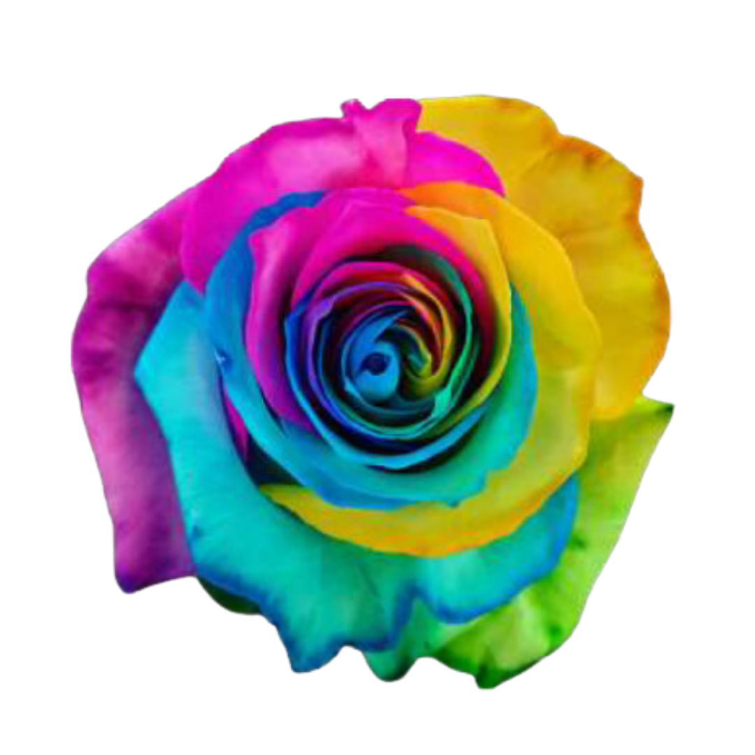 RAINBOW.png
