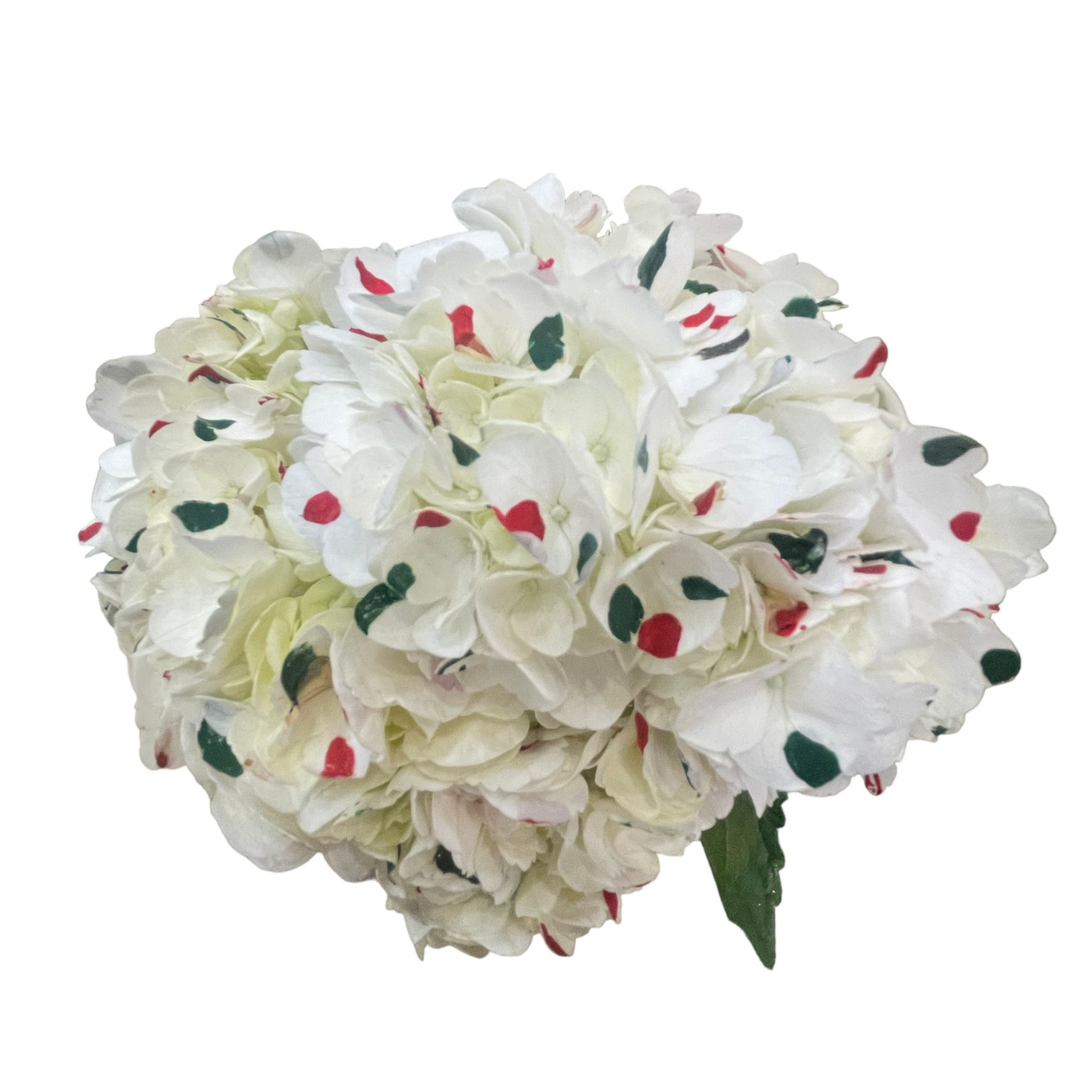 ENHANCED CHRISTMAS DOTS.png