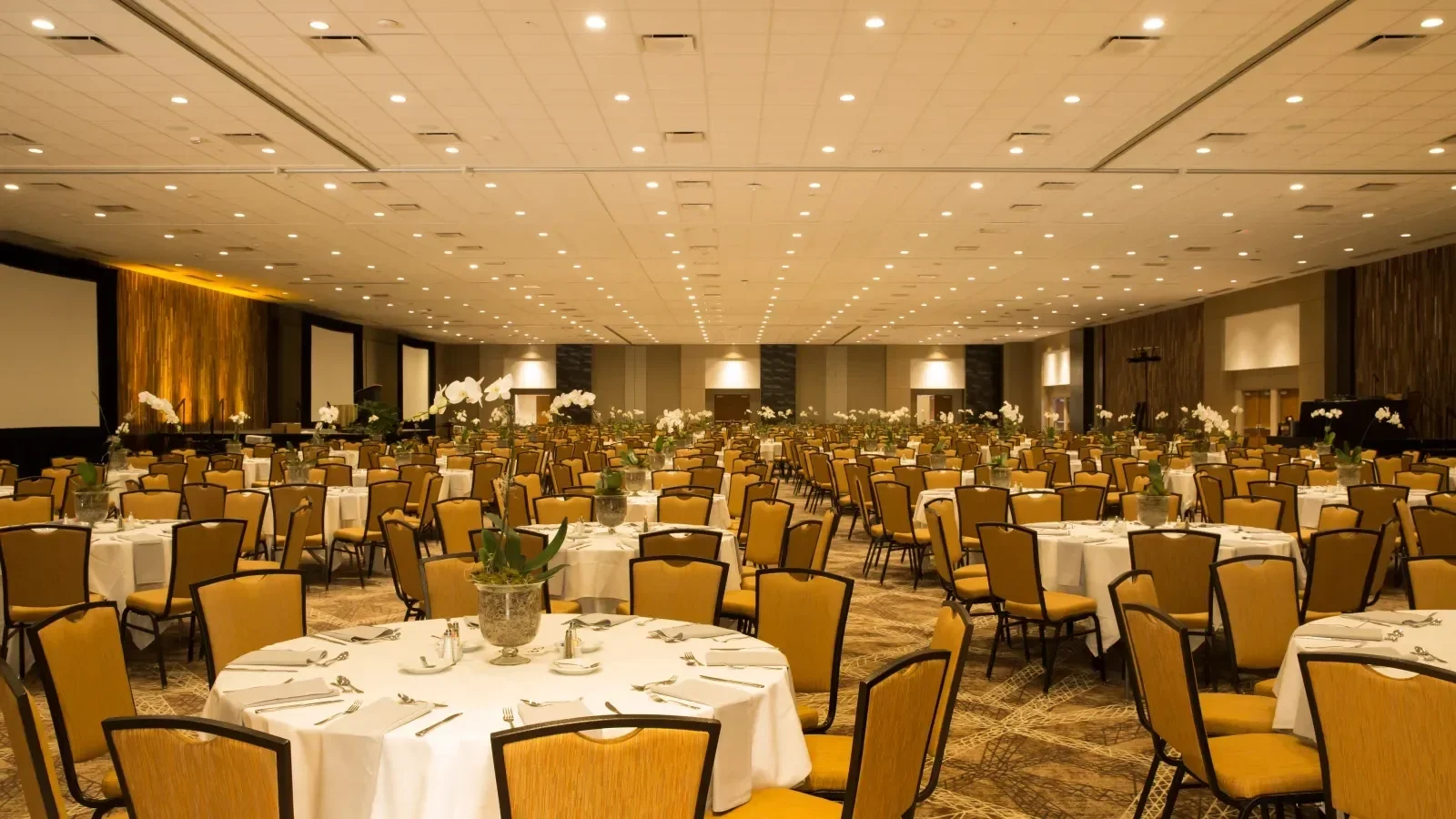 MOUNTAINS FOR MEDICINE GALA