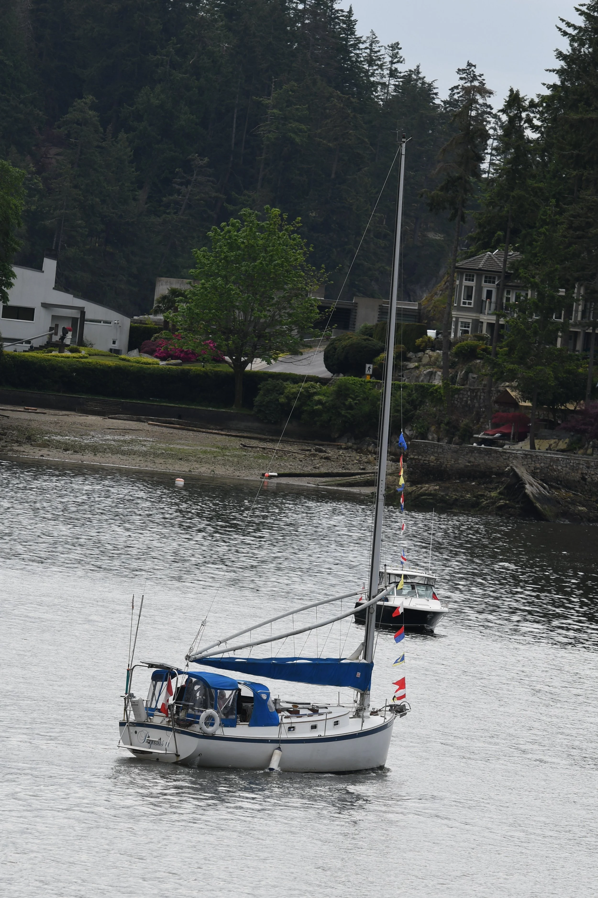 DSC_6469.JPG