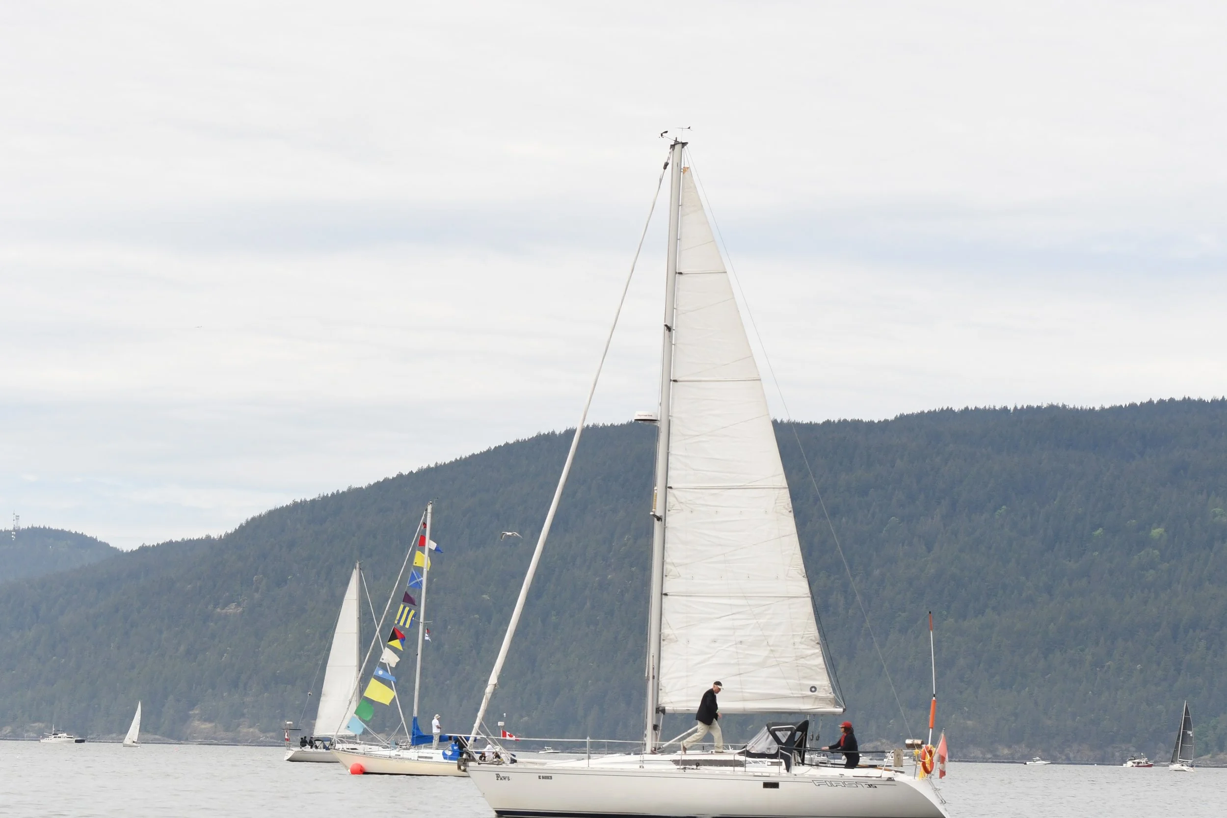 DSC_6488.JPG