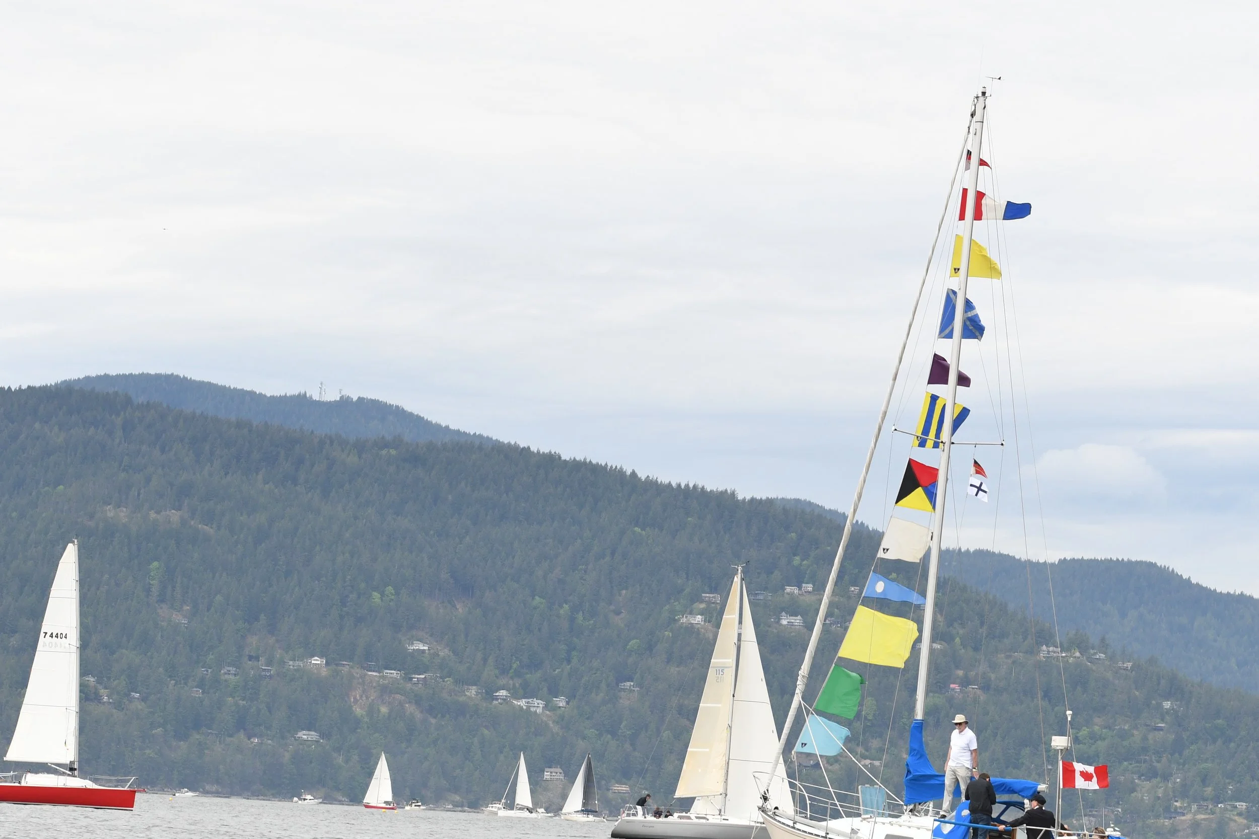 DSC_6496.JPG