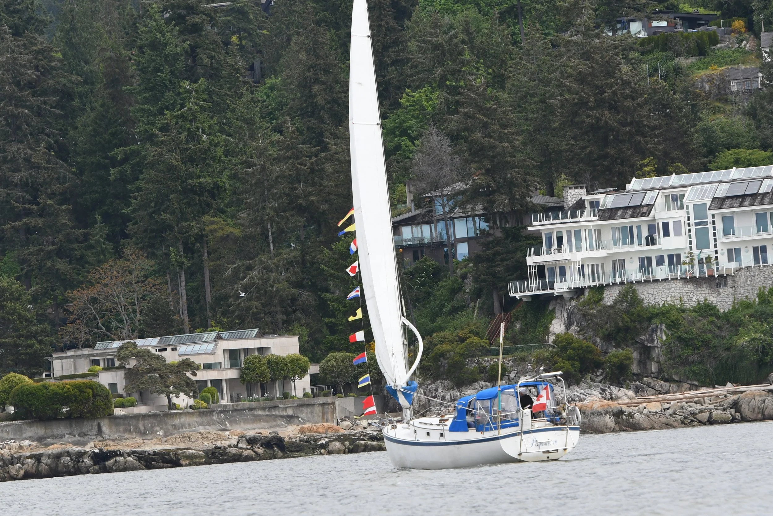 DSC_6583.JPG