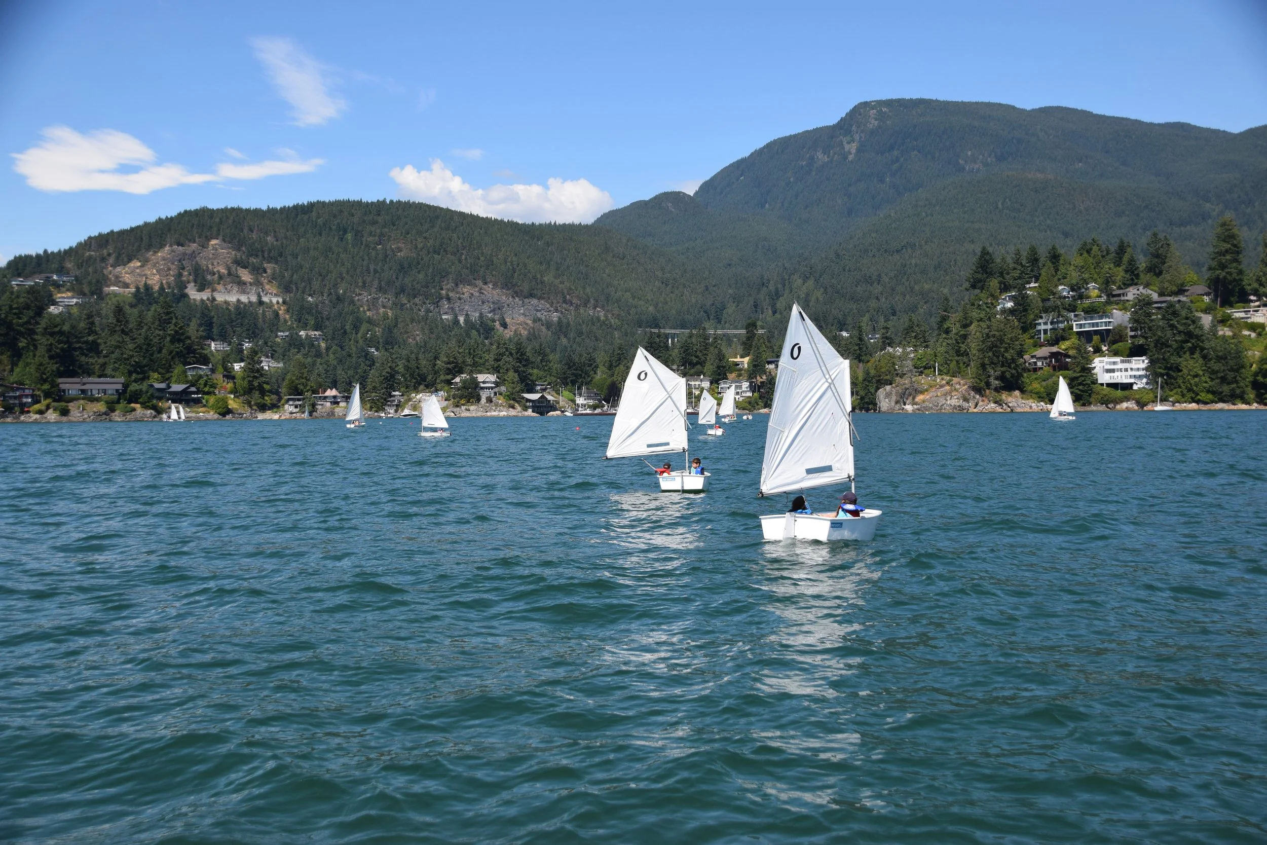 DSC_0175.JPG