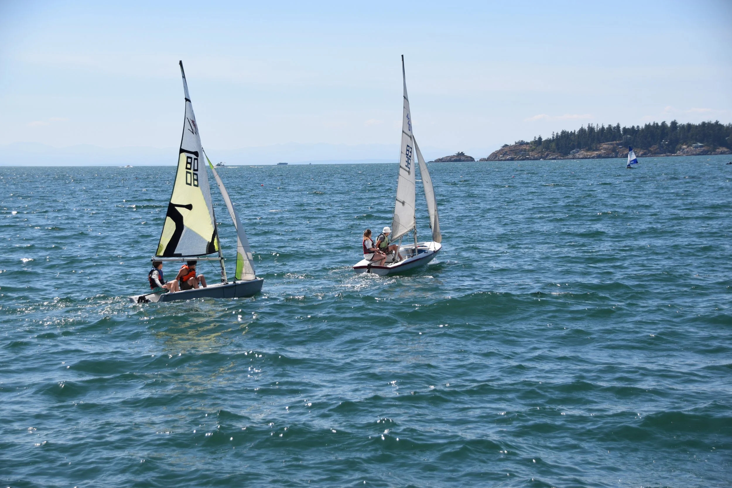 DSC_0217.JPG