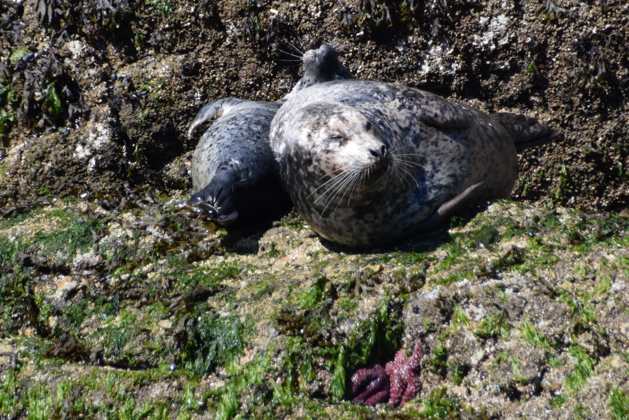 DSC_0505.JPG