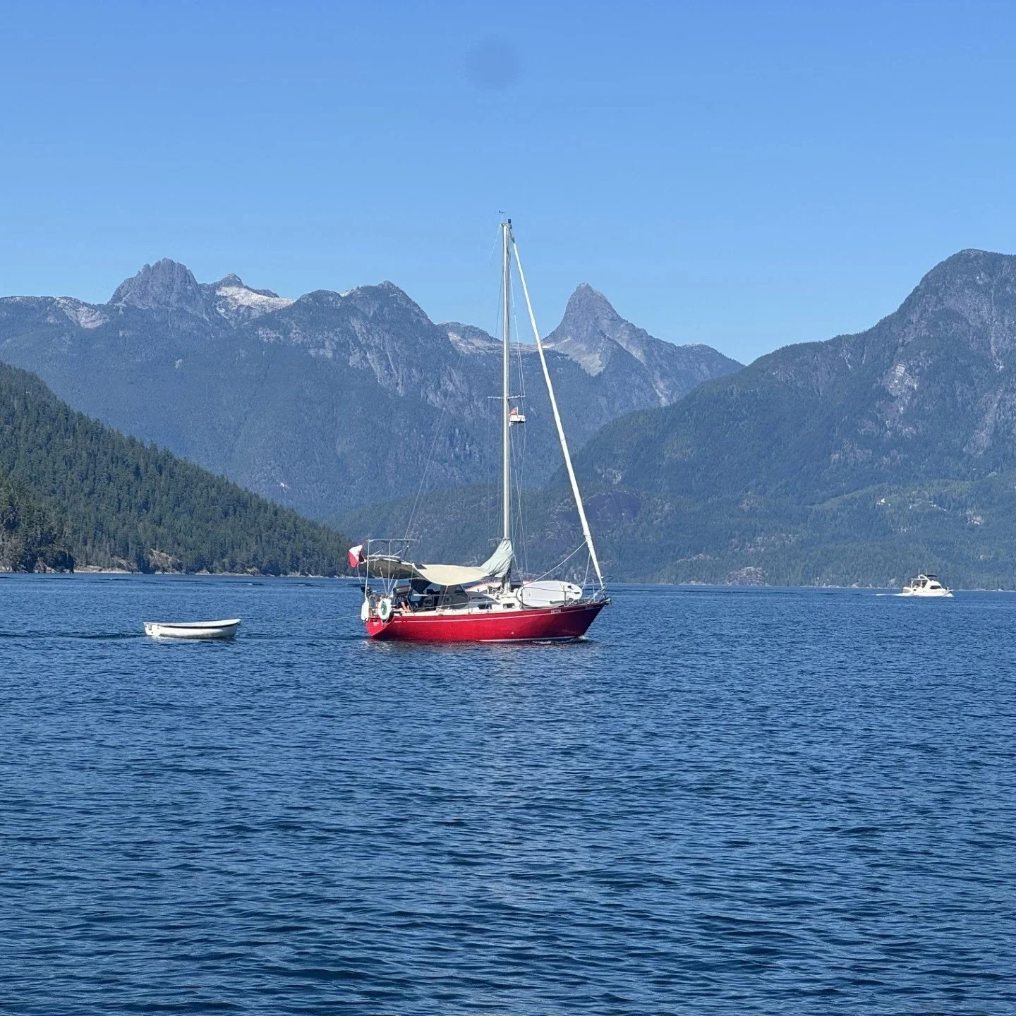 Murray Klassen on Paprika spotted in Desolation Sound