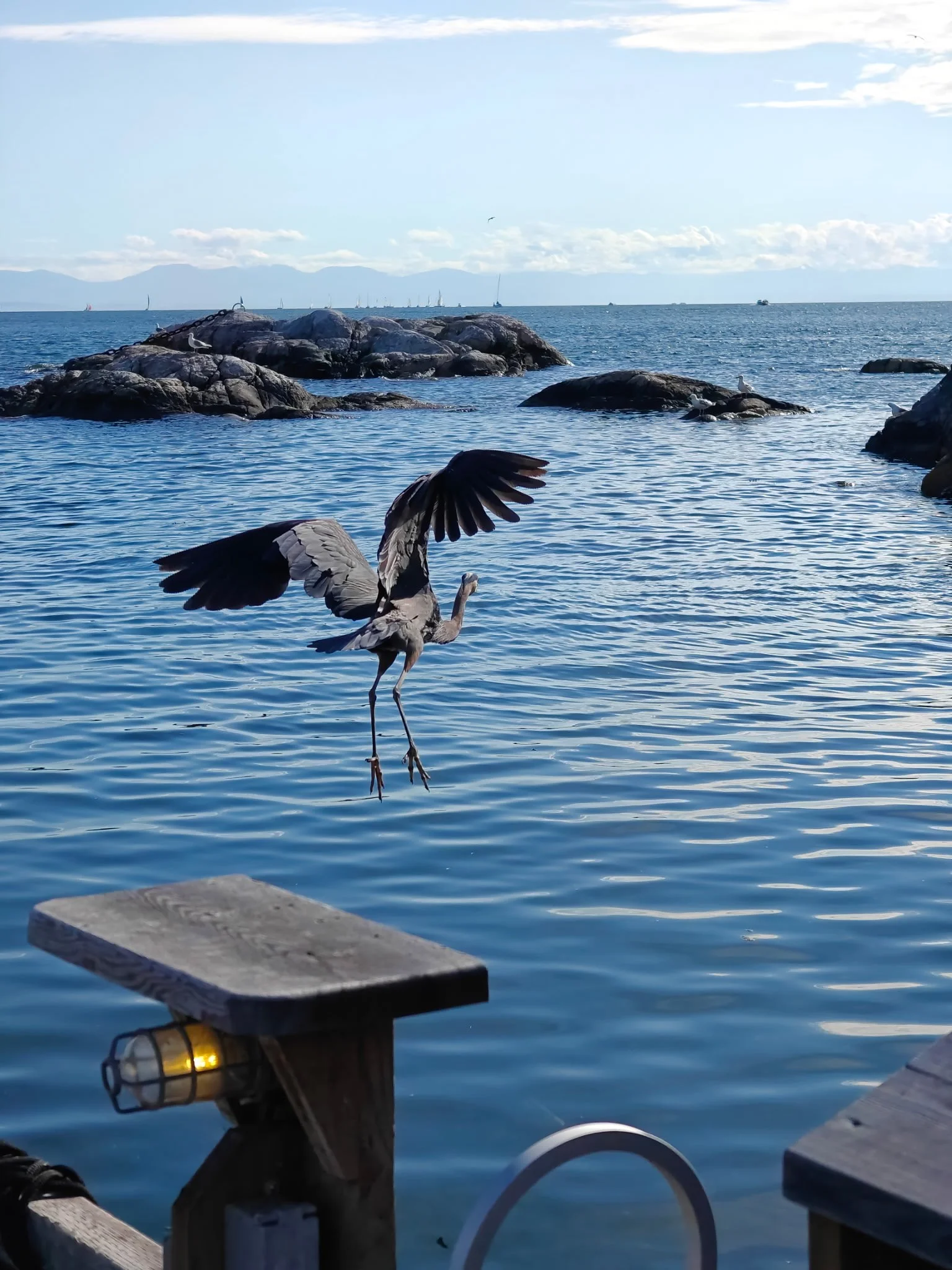 Soundings October 2025
