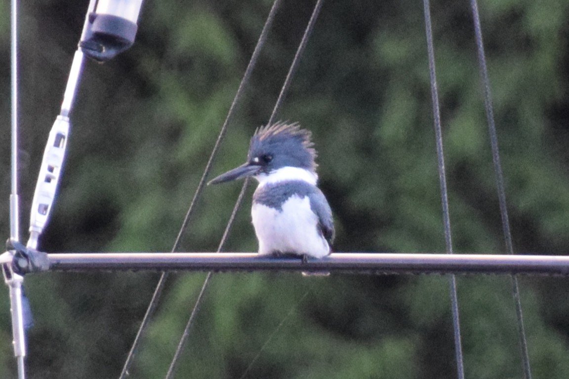 DSC_0166.JPG