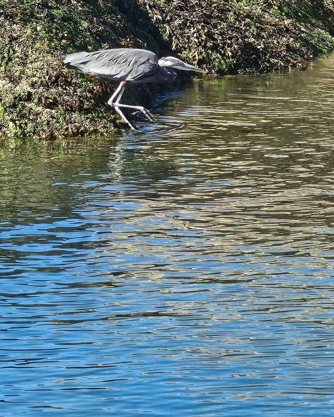📸🌊 Here&rsquo;s Part 4 of our photo competition highlights! Enjoy more stunning shots from our members. Don&rsquo;t forget to cast your vote &mdash; the link is in our bio! #ehycphotocontest2025