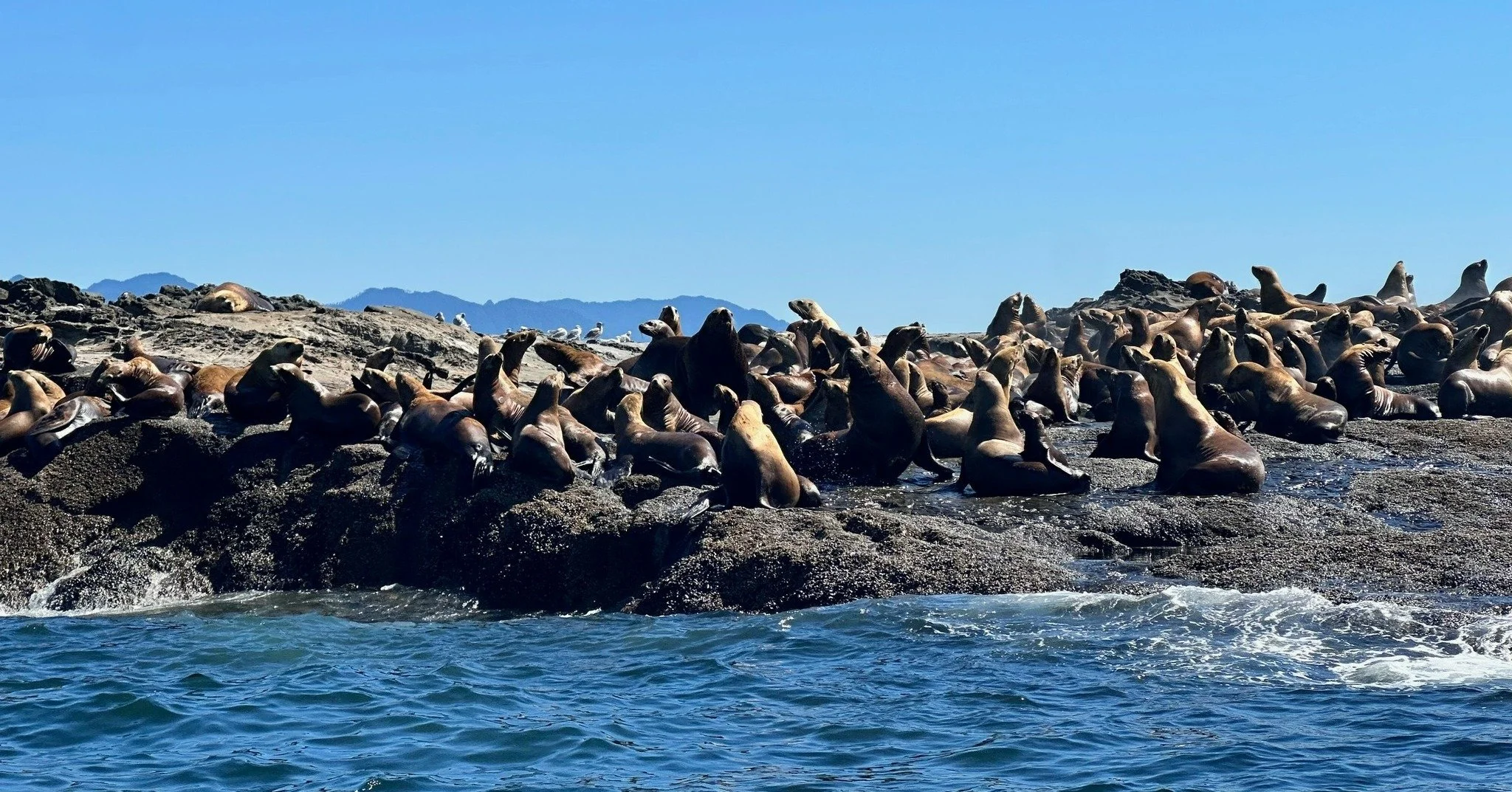 ☀️📸 The beauty keeps coming! Part 3 of our photo competition showcases even more stunning shots capturing the wildlife and natural charm of our community. Don&rsquo;t forget to vote &mdash; the link is in our bio! #ehycphotocontest2025