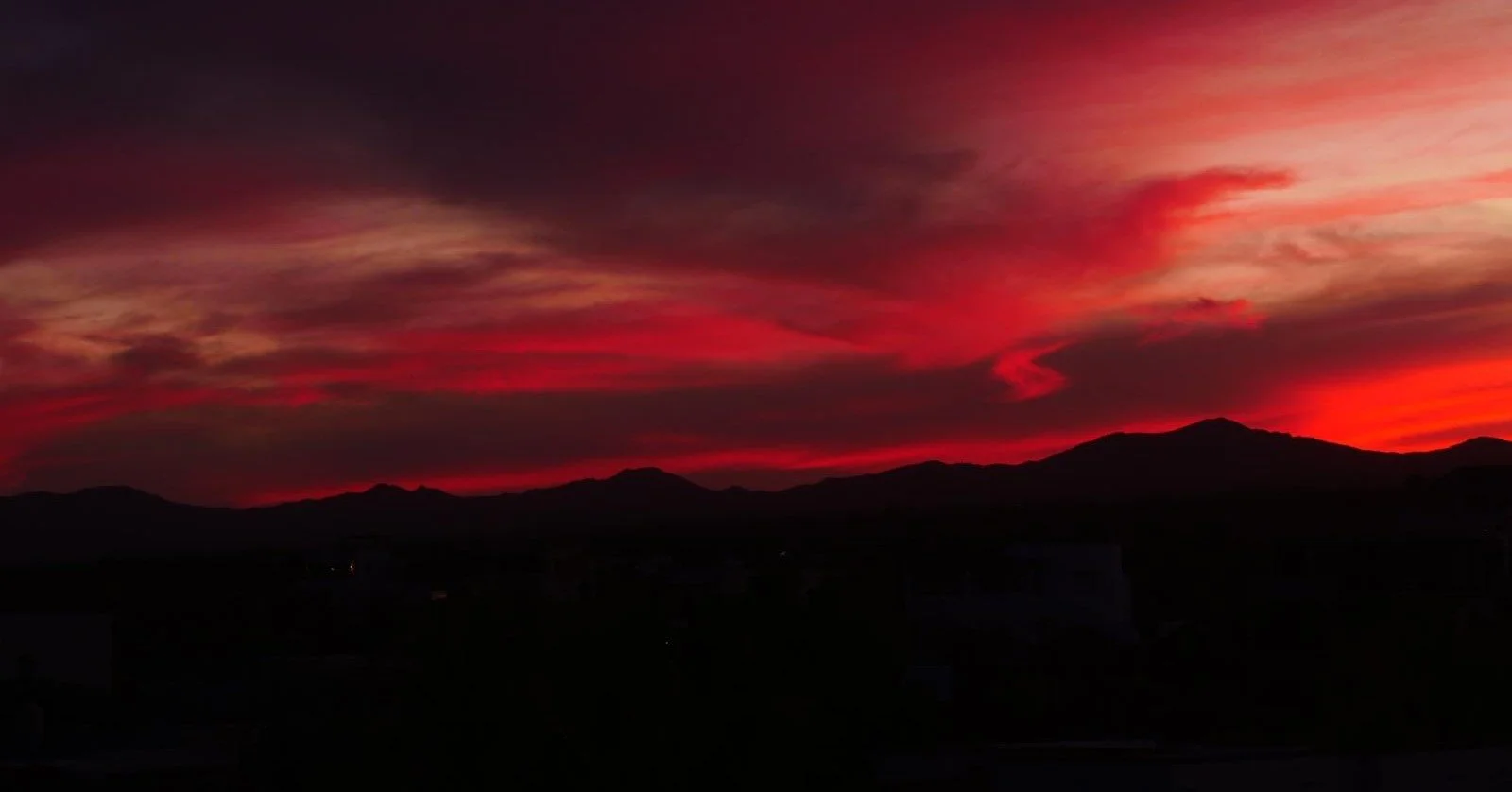 🌟📷 Wrapping it all up with Part 5 of our photo competition submissions! A huge thank you to everyone who participated &mdash; your photos made this contest truly special.  Don&rsquo;t forget to cast your vote &mdash; the link is in our bio! #ehycph