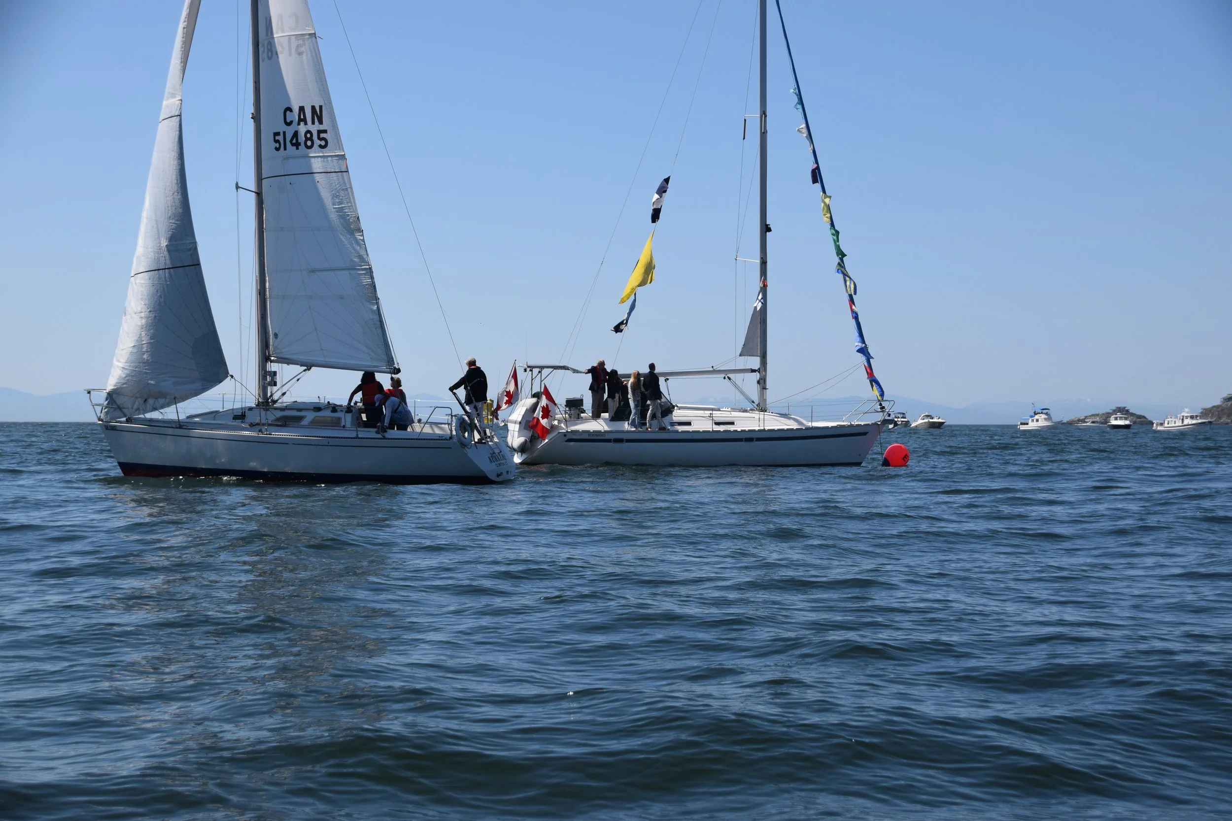 DSC_0403.JPG