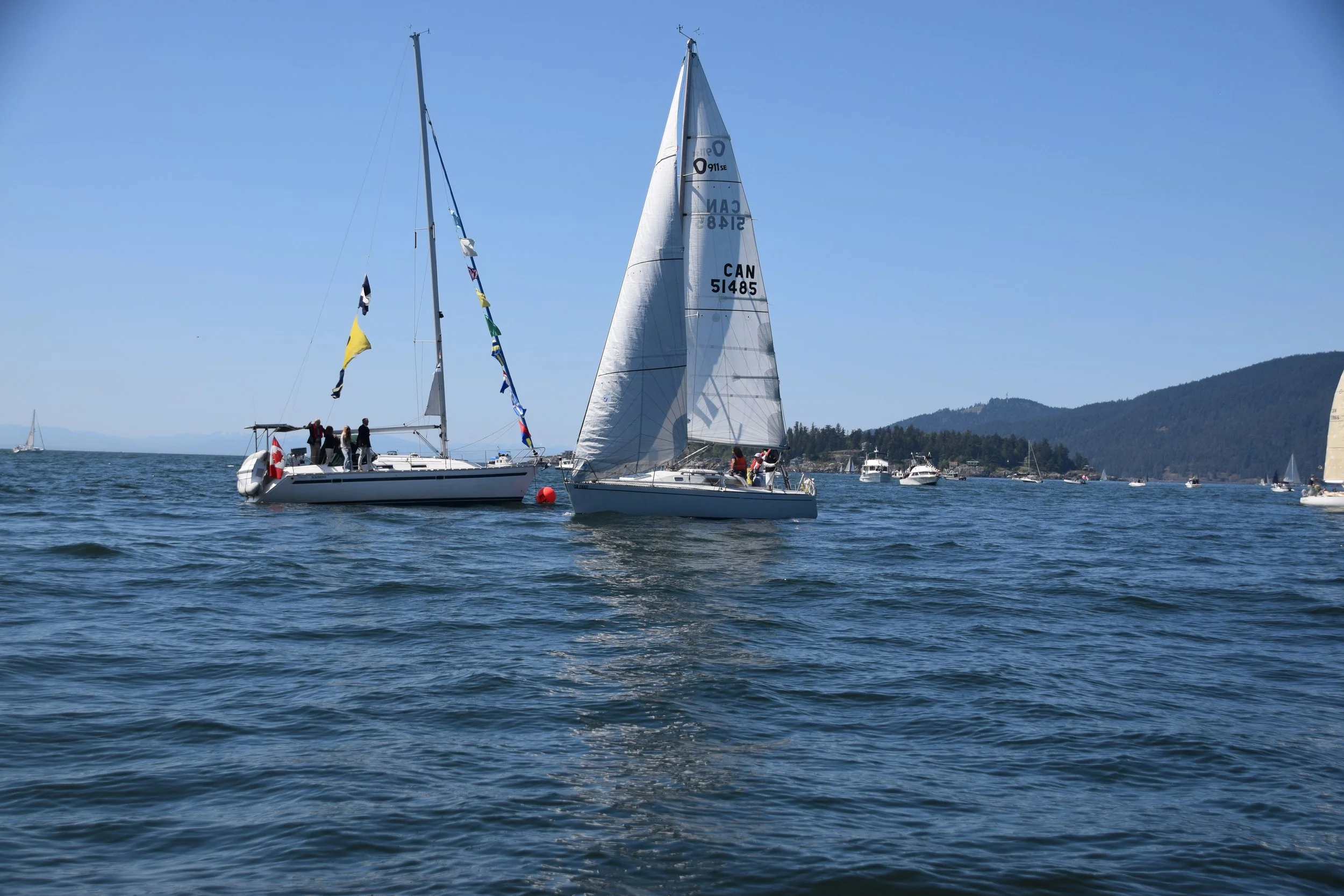 DSC_0402.JPG