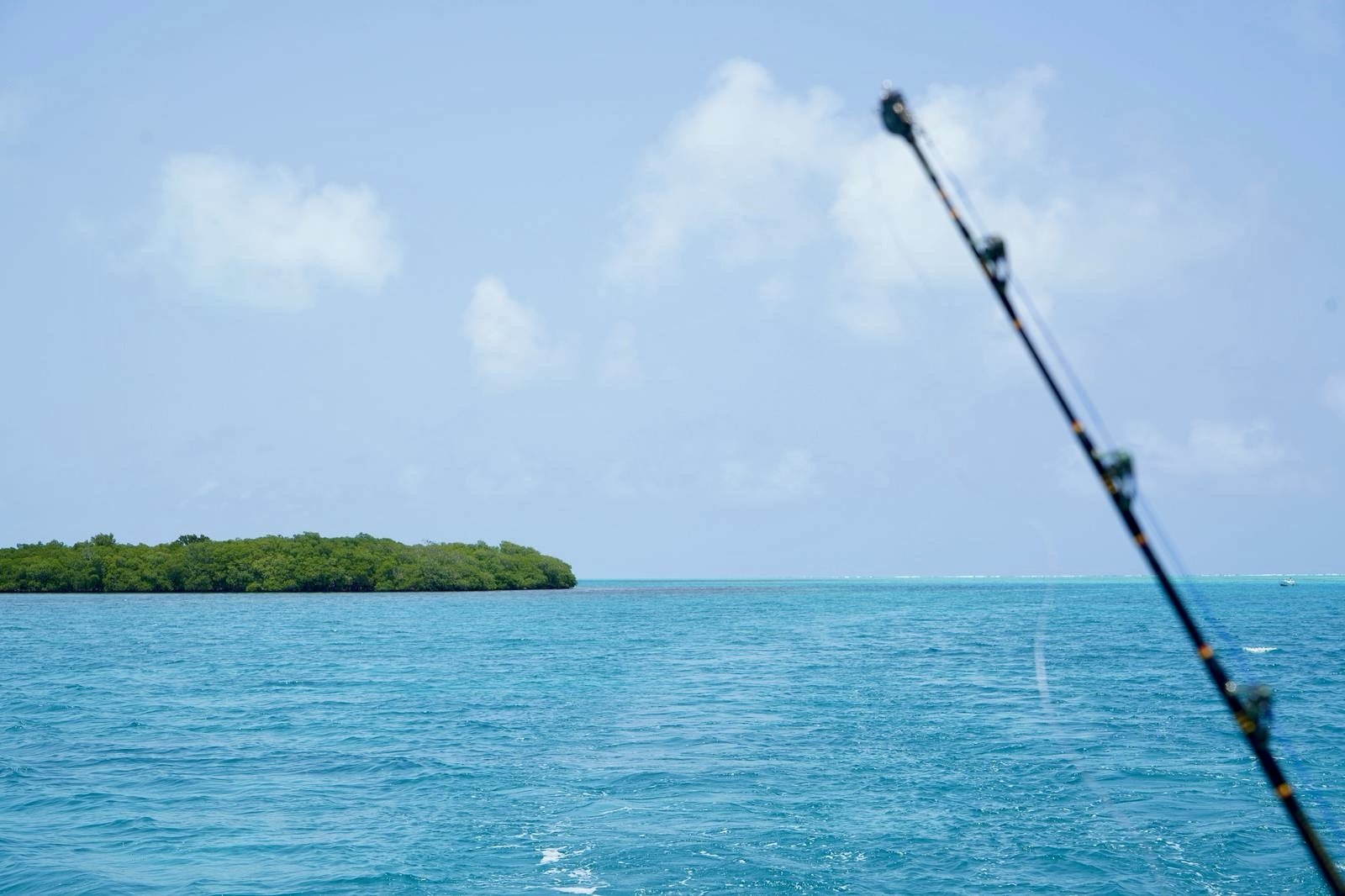 WhatsApp Image 2025-05-09 at 17.42.24_e286c27a.jpg