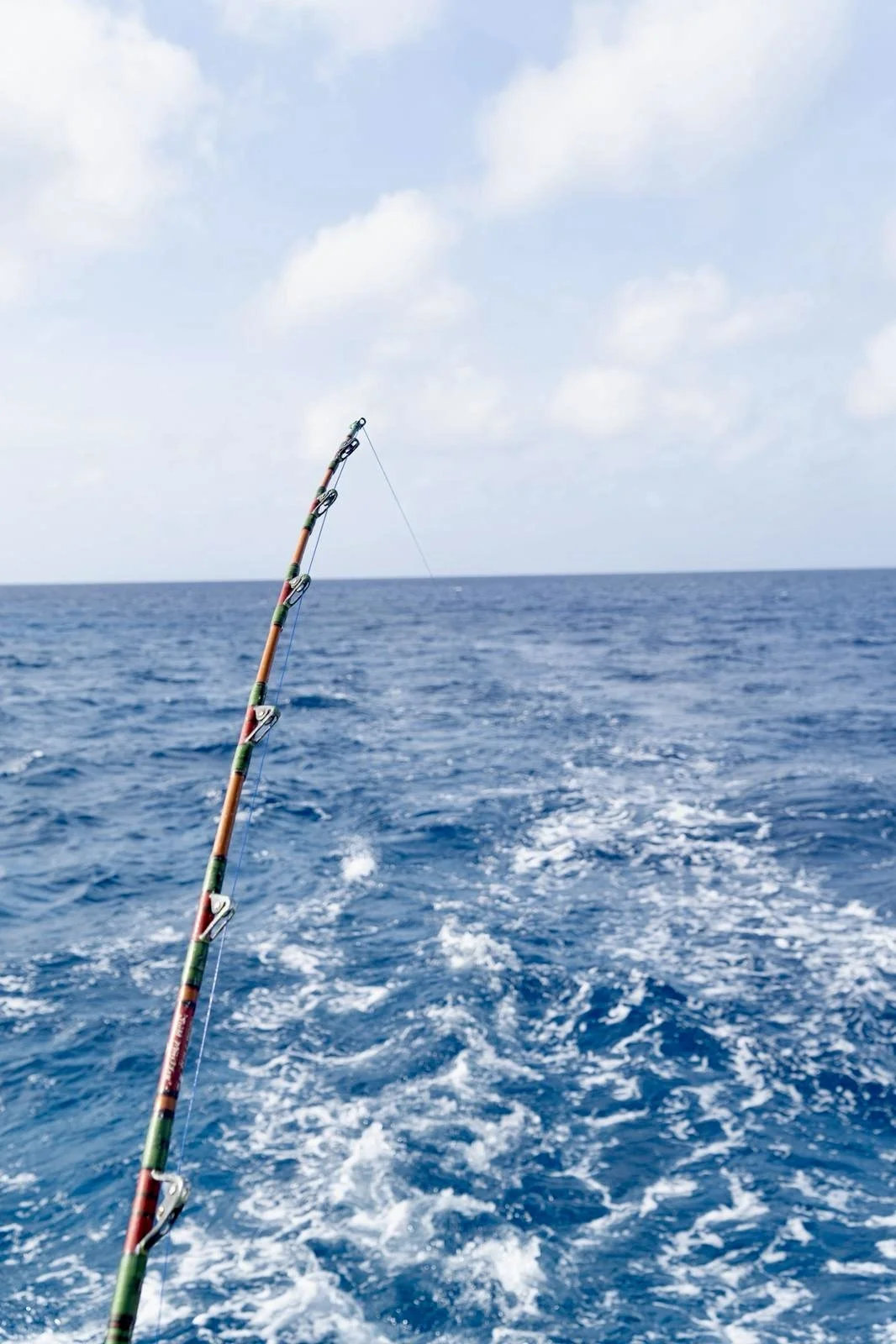 WhatsApp Image 2025-05-09 at 17.43.08_c9d20c5f.jpg