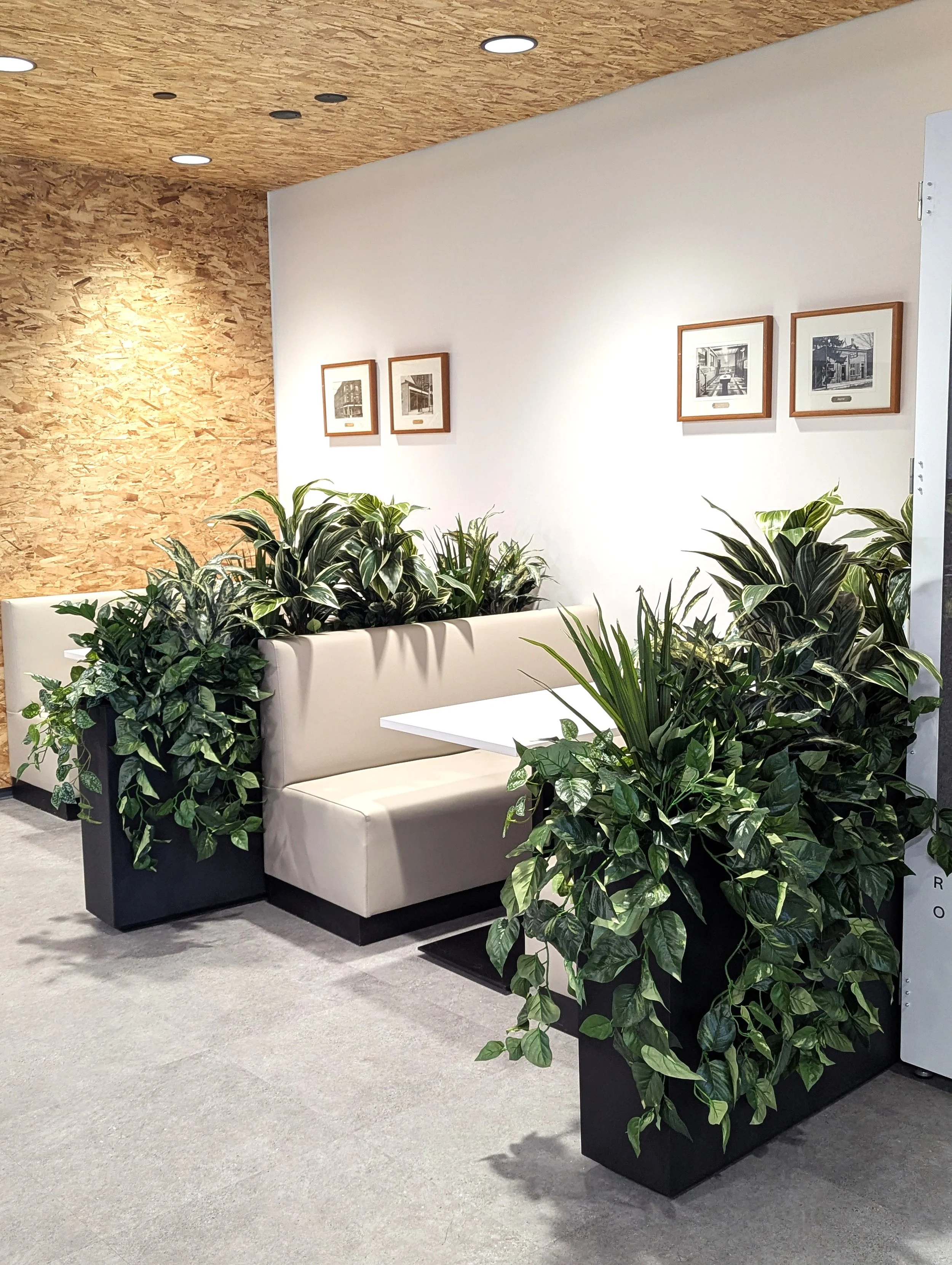 A biophilic intervention designed to bring balance and natural contrast into a corporate interior for The Beer Store HQ.