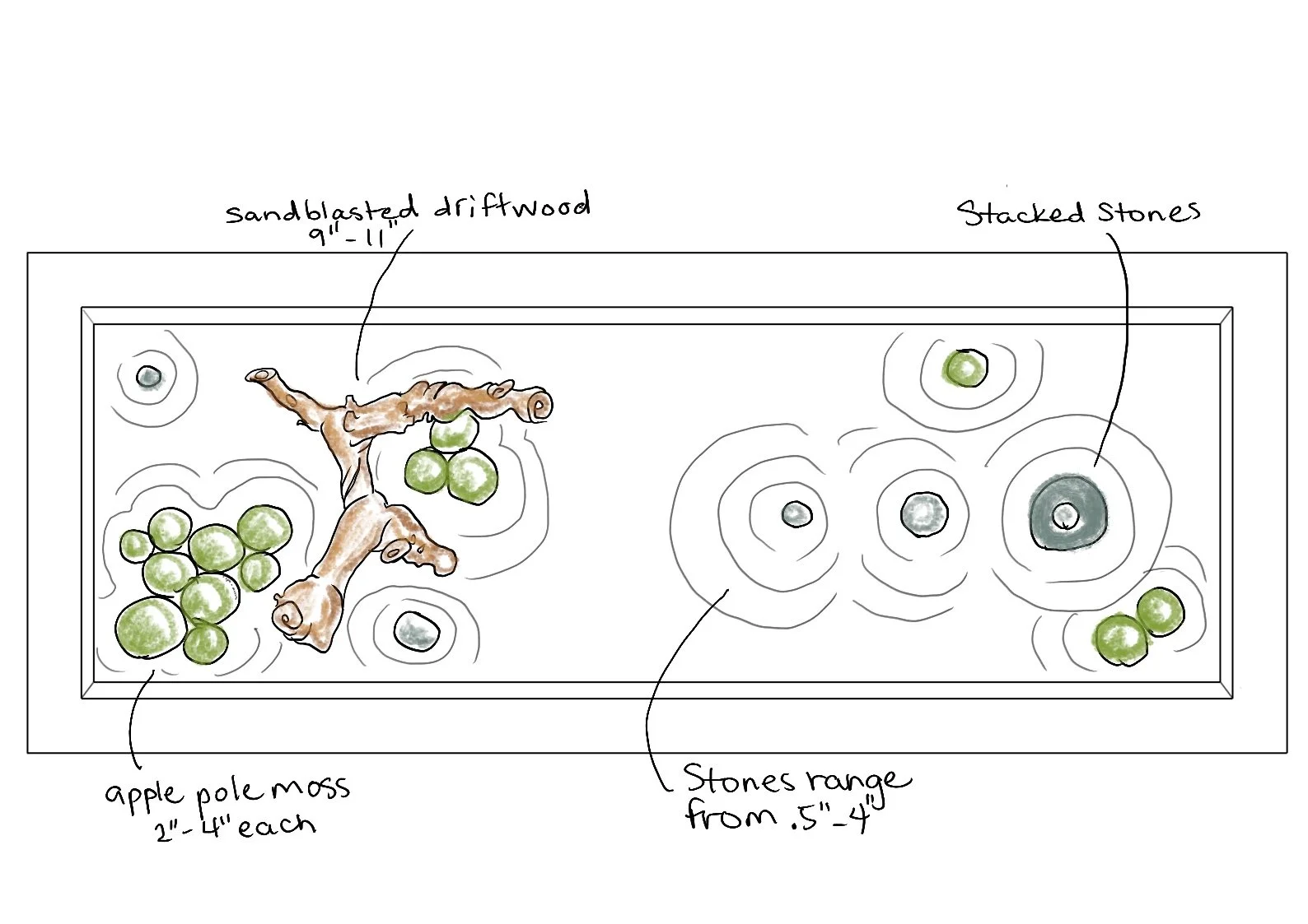 Concept sketch for a corporate botanical feature exploring balance, texture, and restraint.