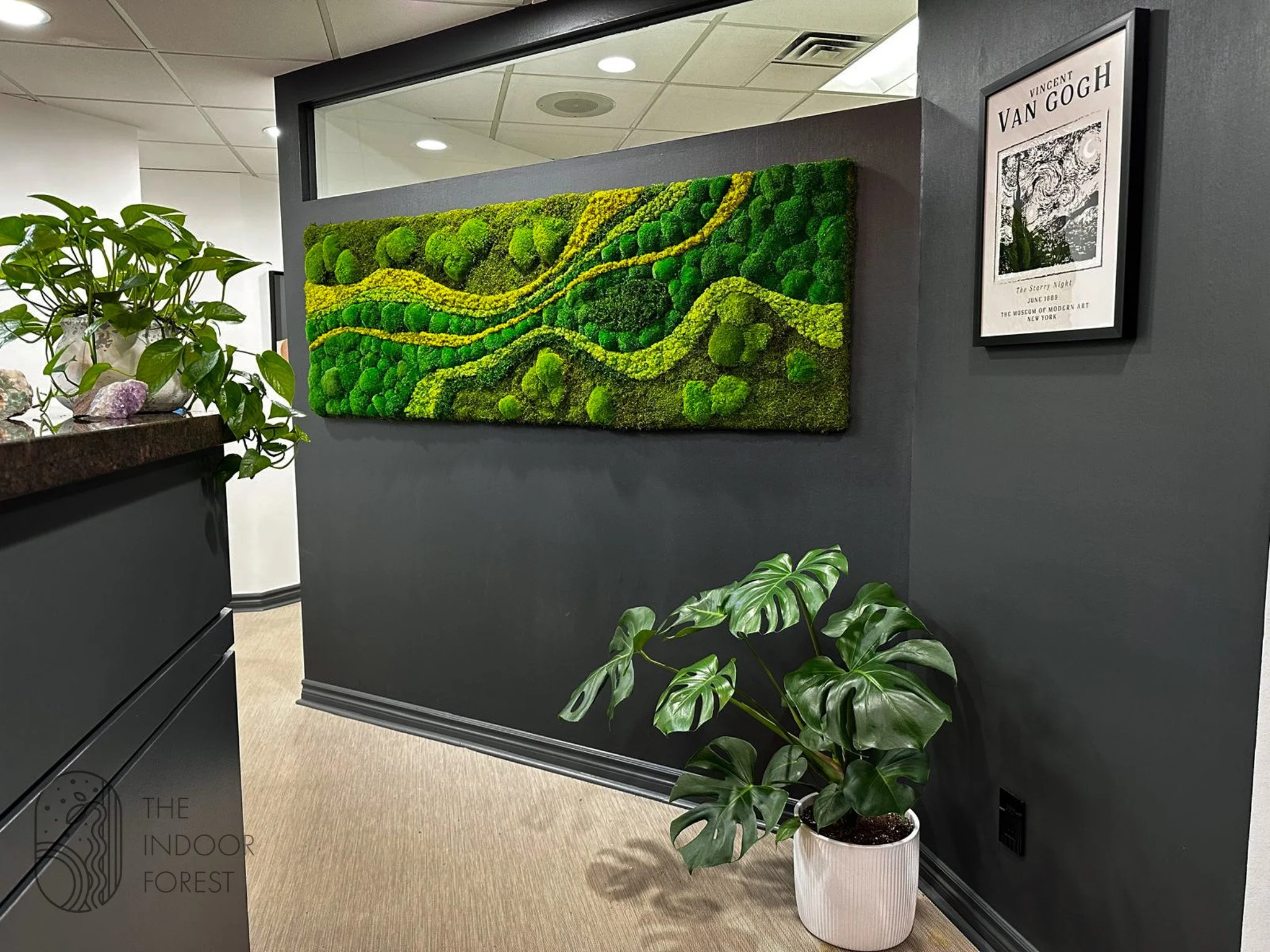 A calming biophilic feature designed to enhance the patient experience through natural form.