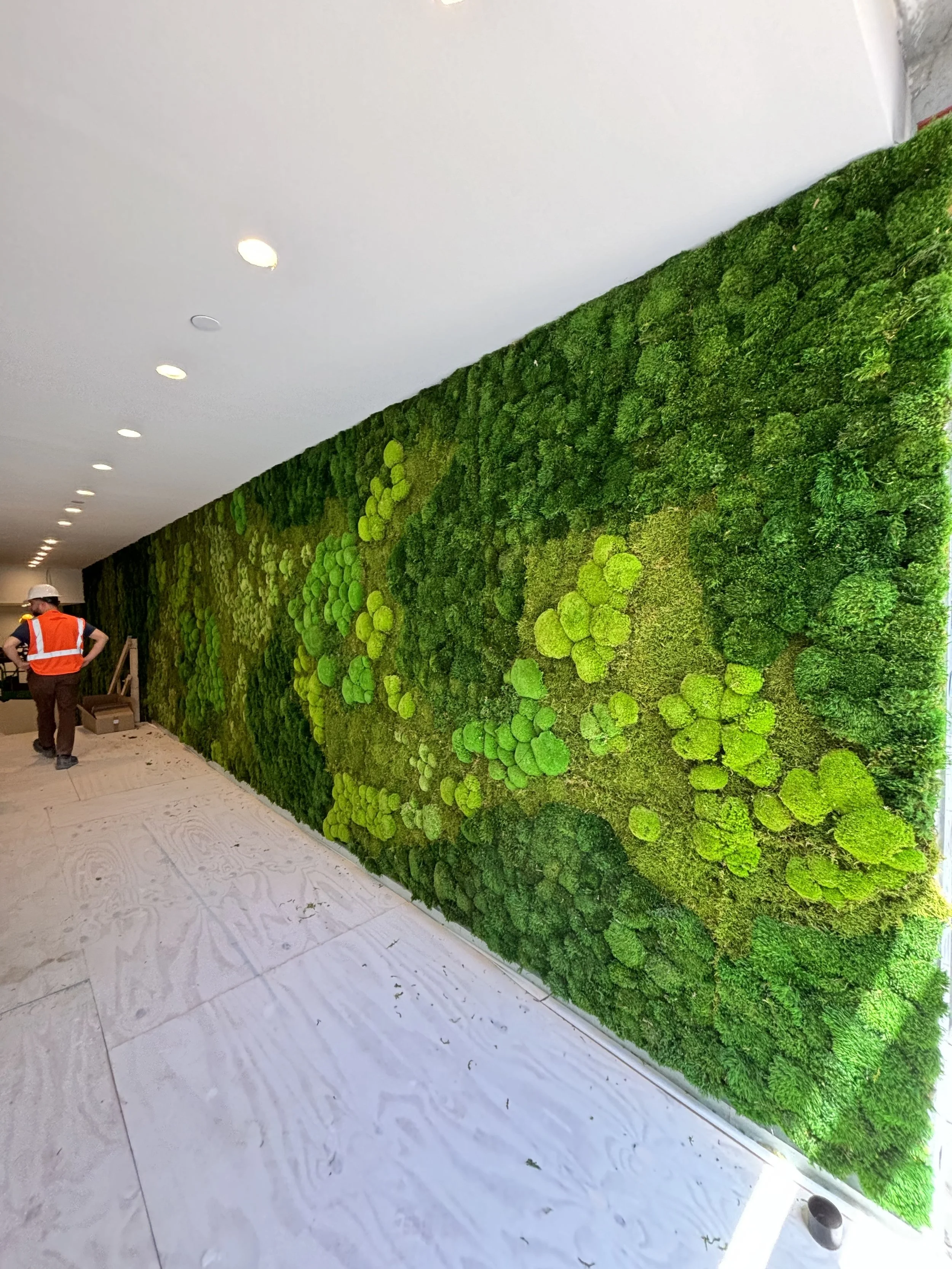 A biophilic feature wall in NJ designed to introduce depth, texture, and visual rhythm.