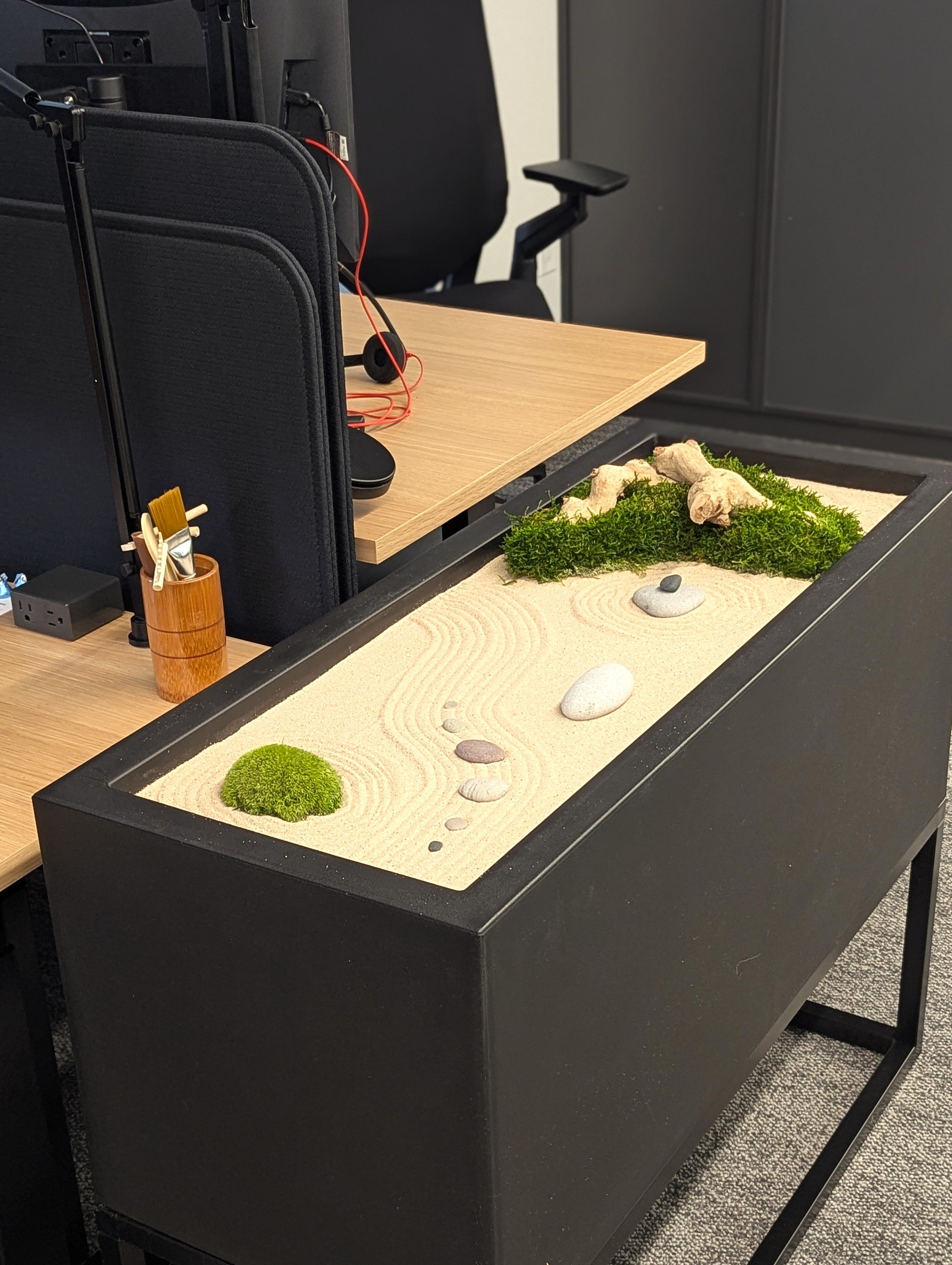 A sculptural planter composition designed to soften and ground a contemporary office environment.