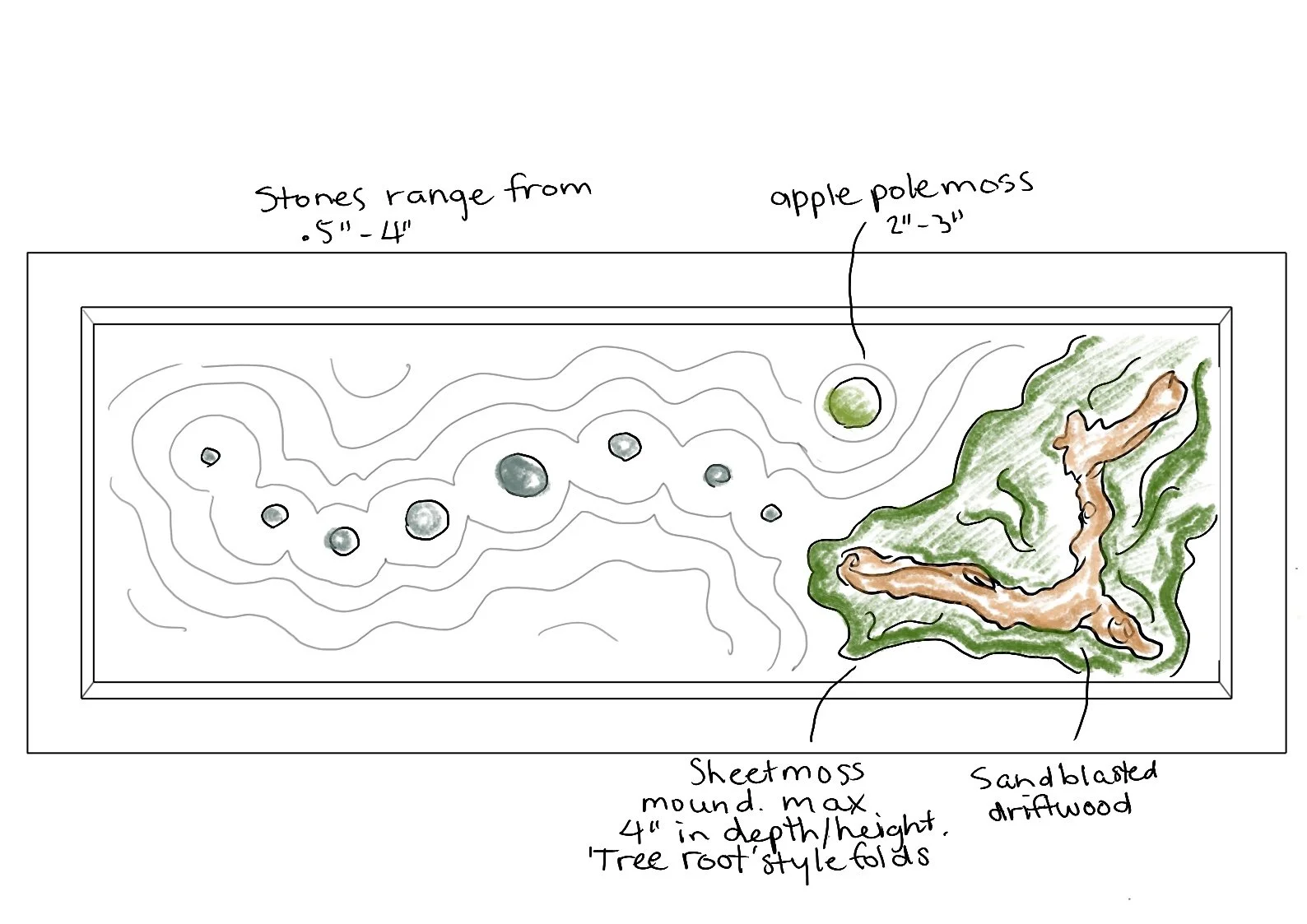A restrained biophilic composition exploring form, texture, and calm.